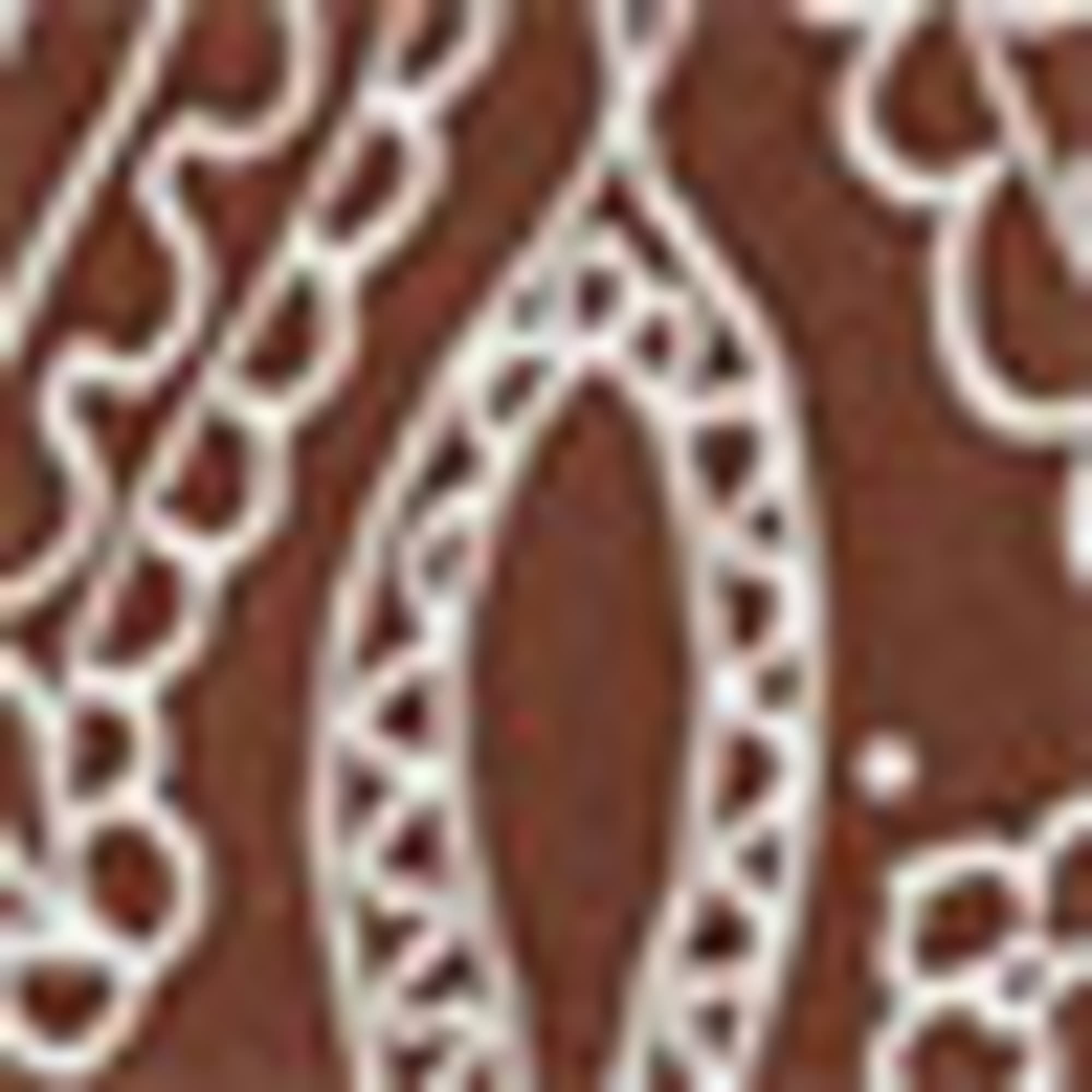 Shirt dress - patterned brown