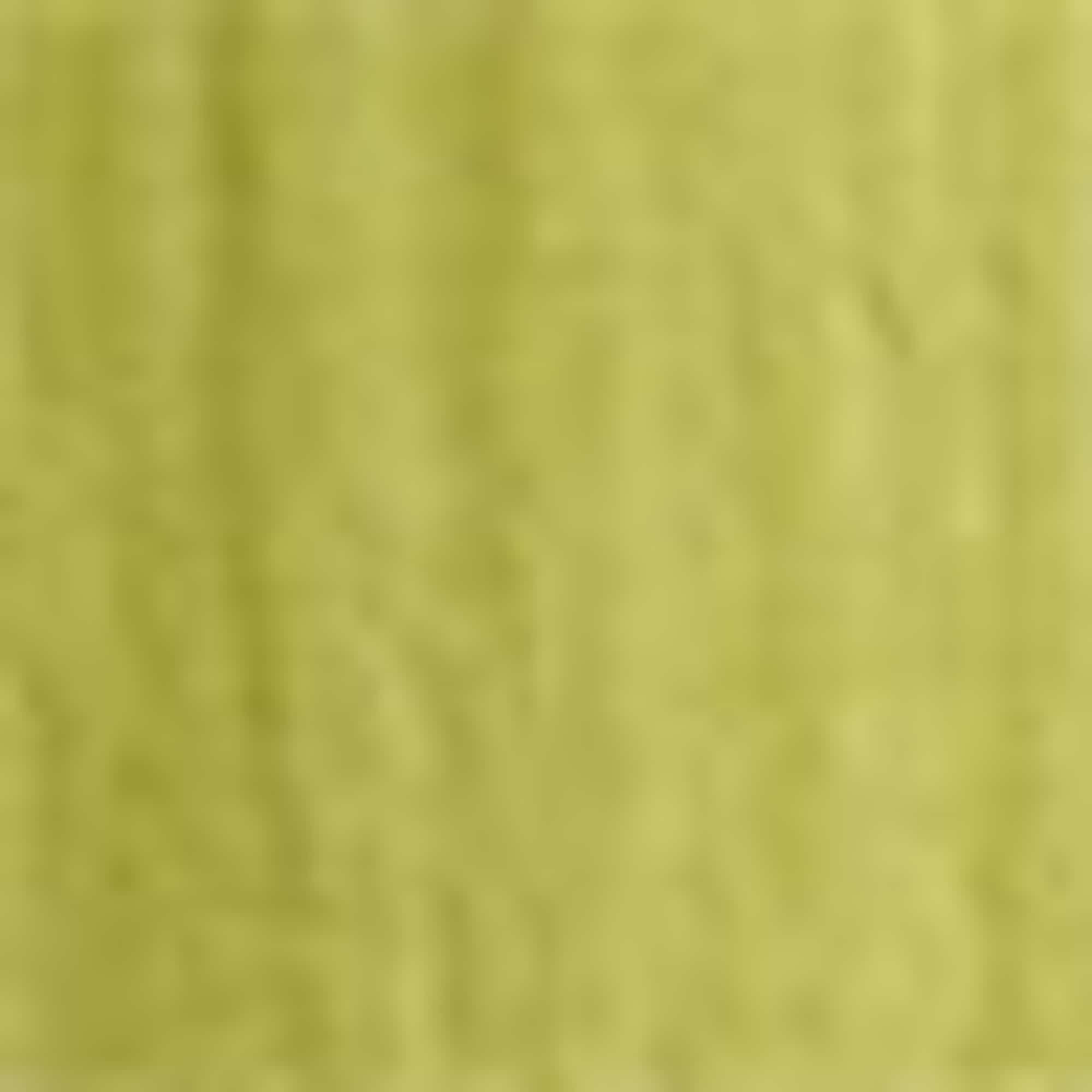 Cheesecloth blouse light green