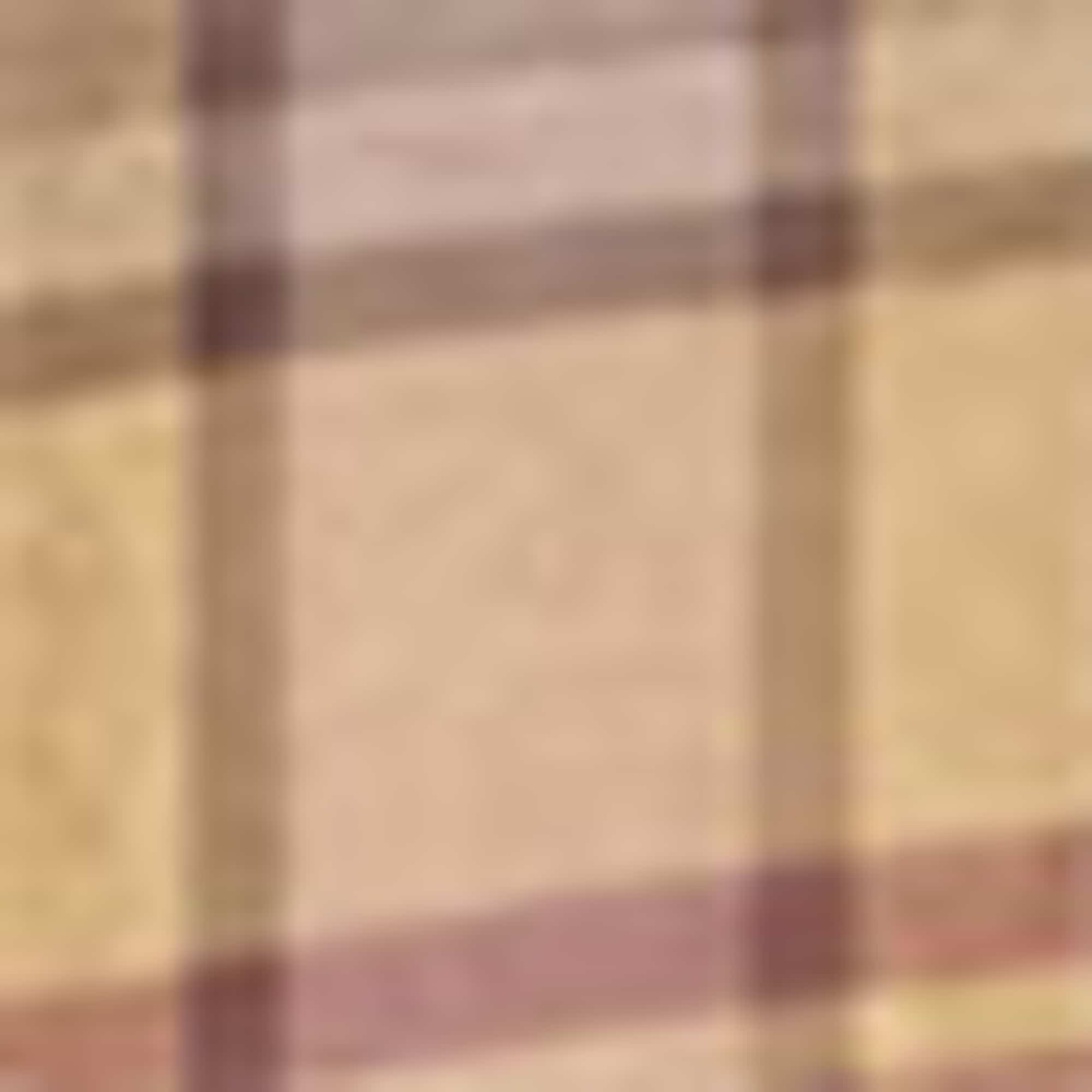 Shirt blouse - check beige / blue