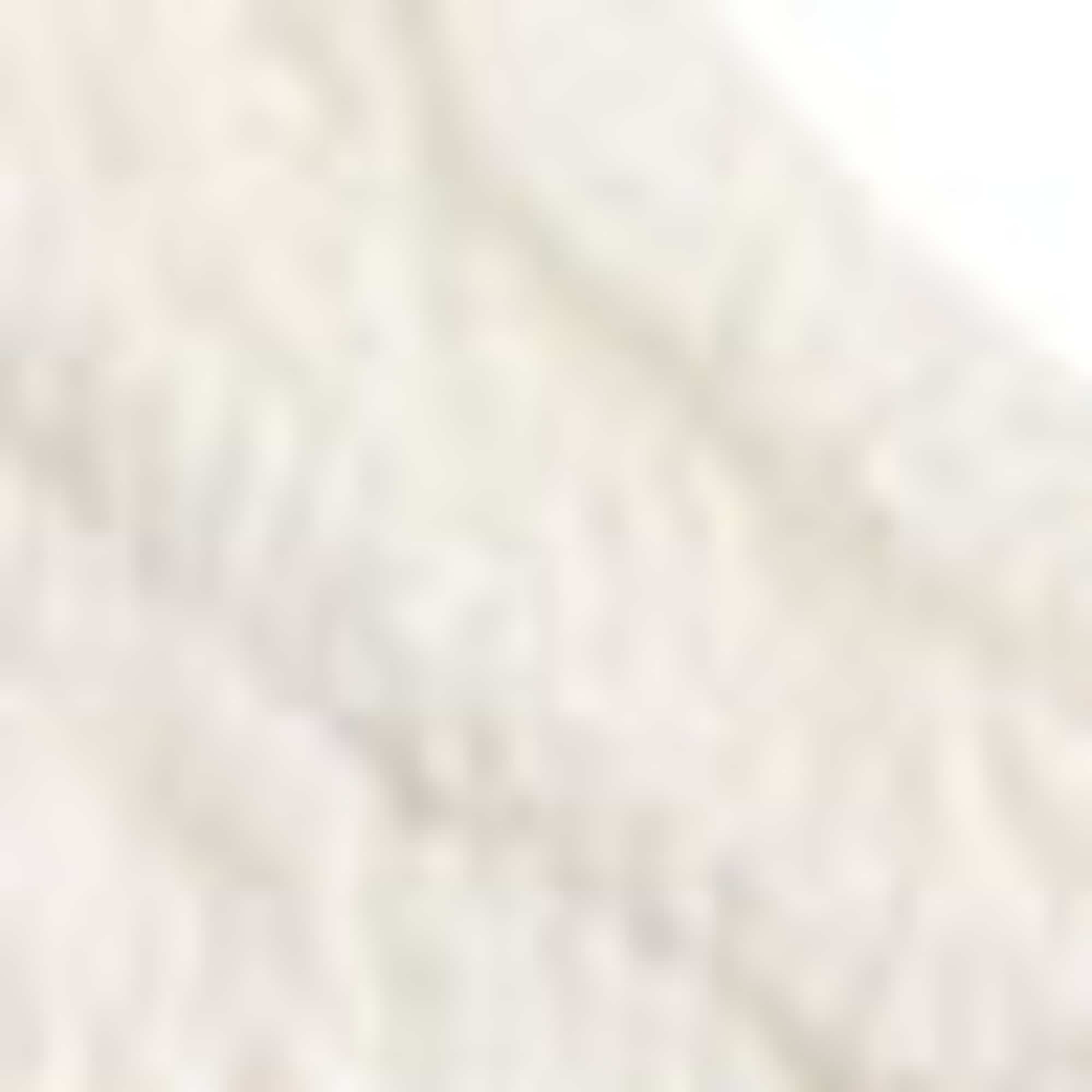 Blouse top - smocked white