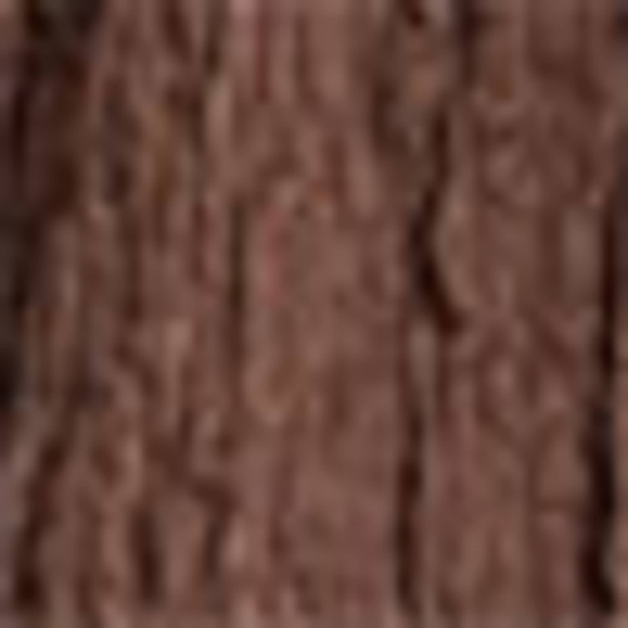 Shorts - mid-rise waist - textured brown