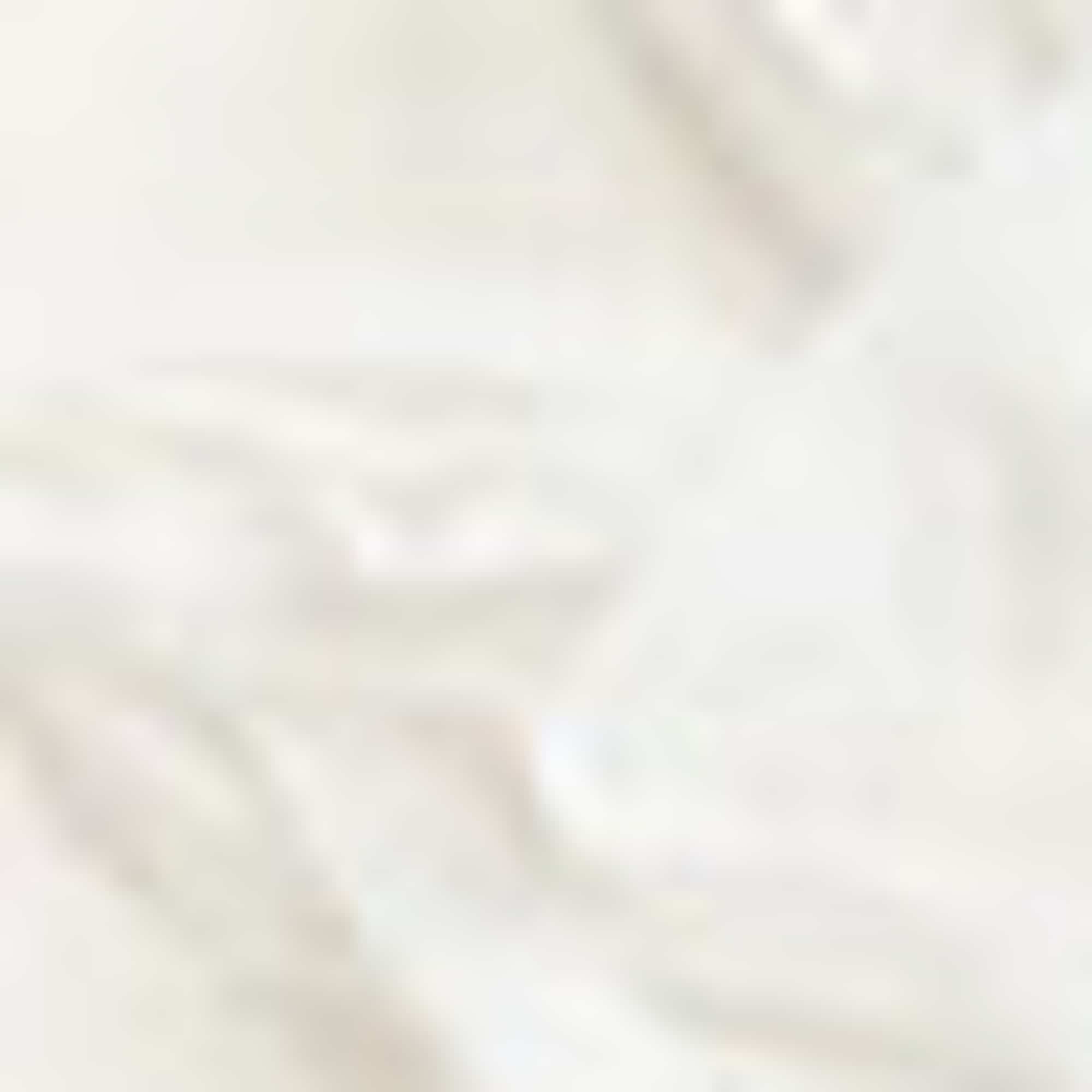 T-shirt - regular fit - floral cremewhite