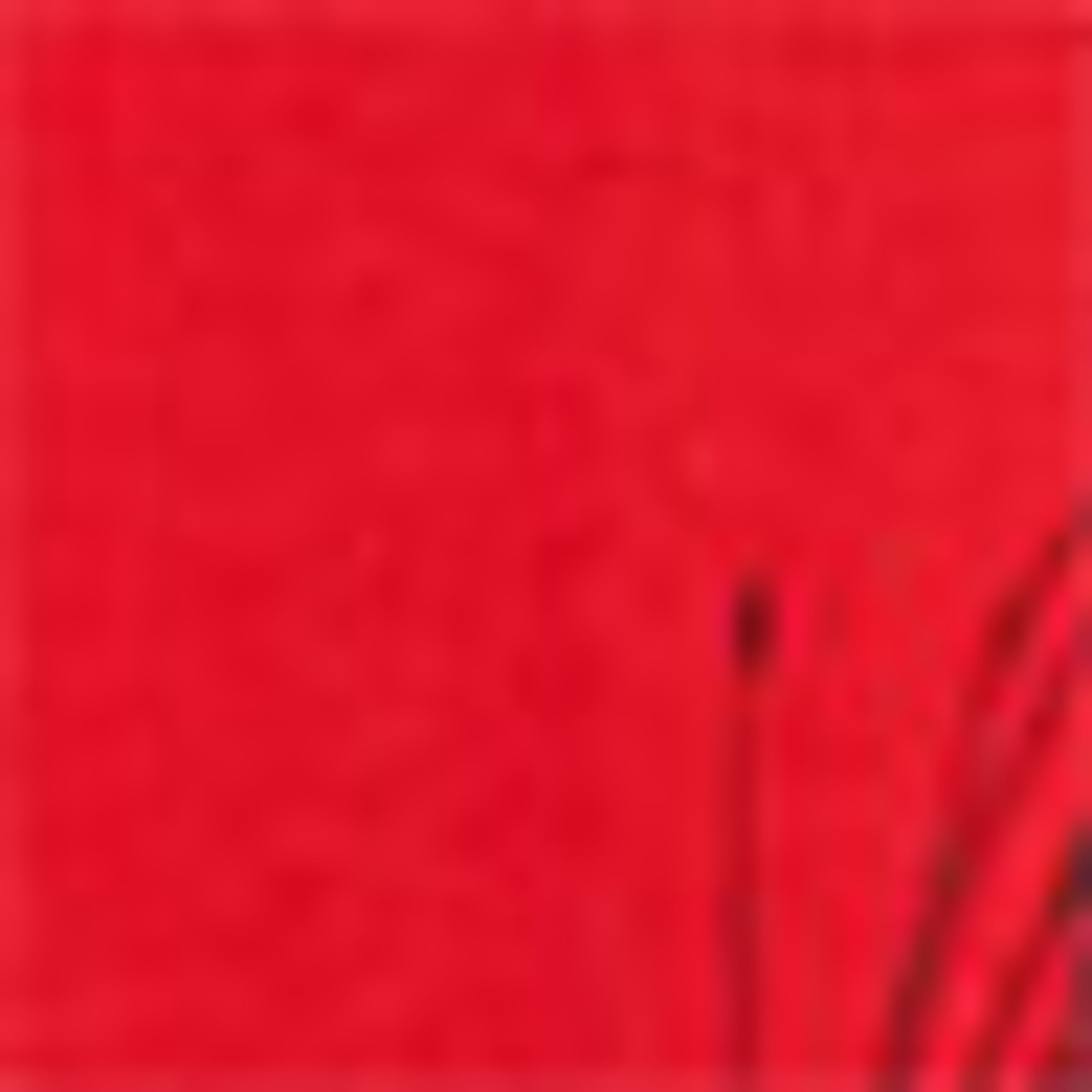 T-shirt - Belgium - relaxed fit red