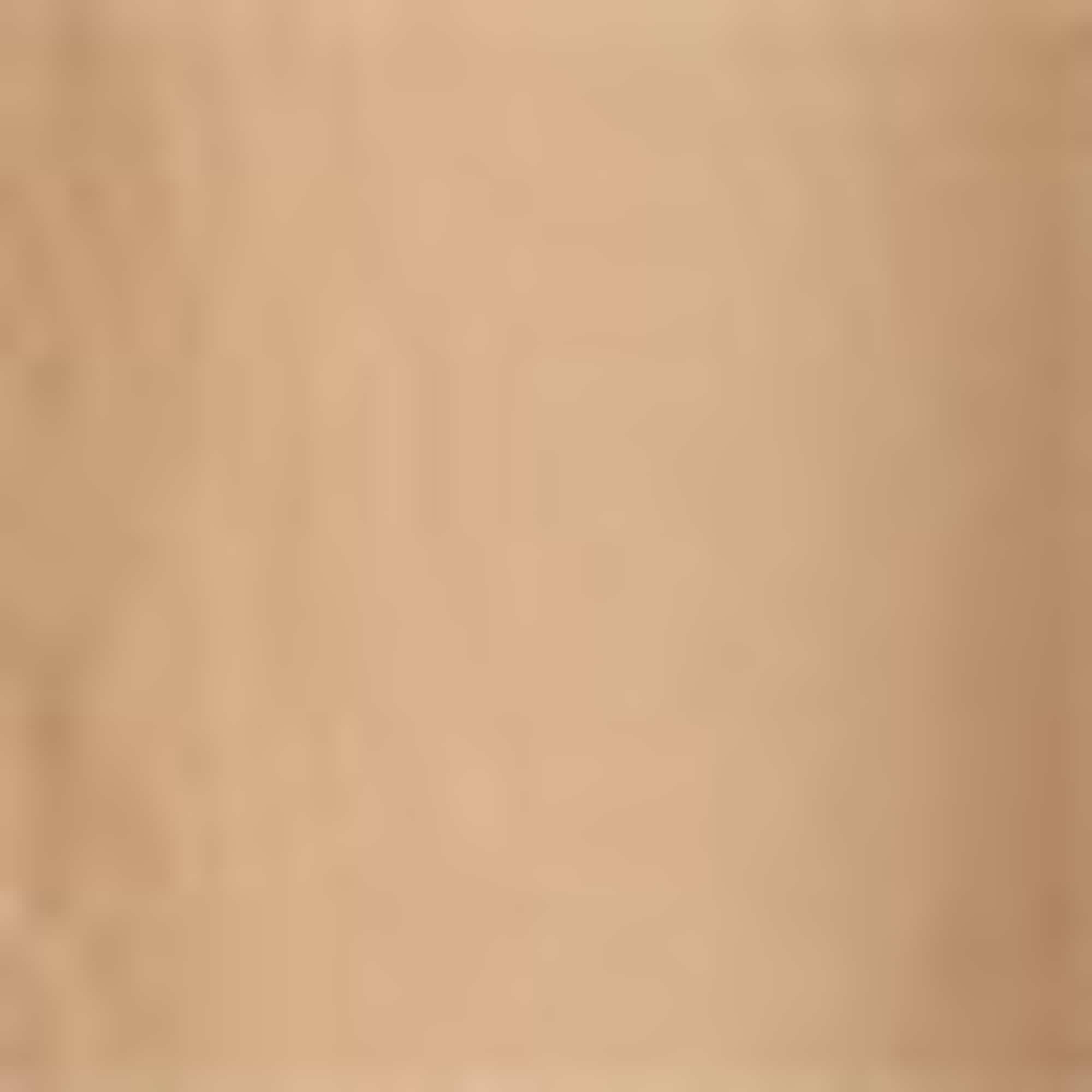 Skirt beige