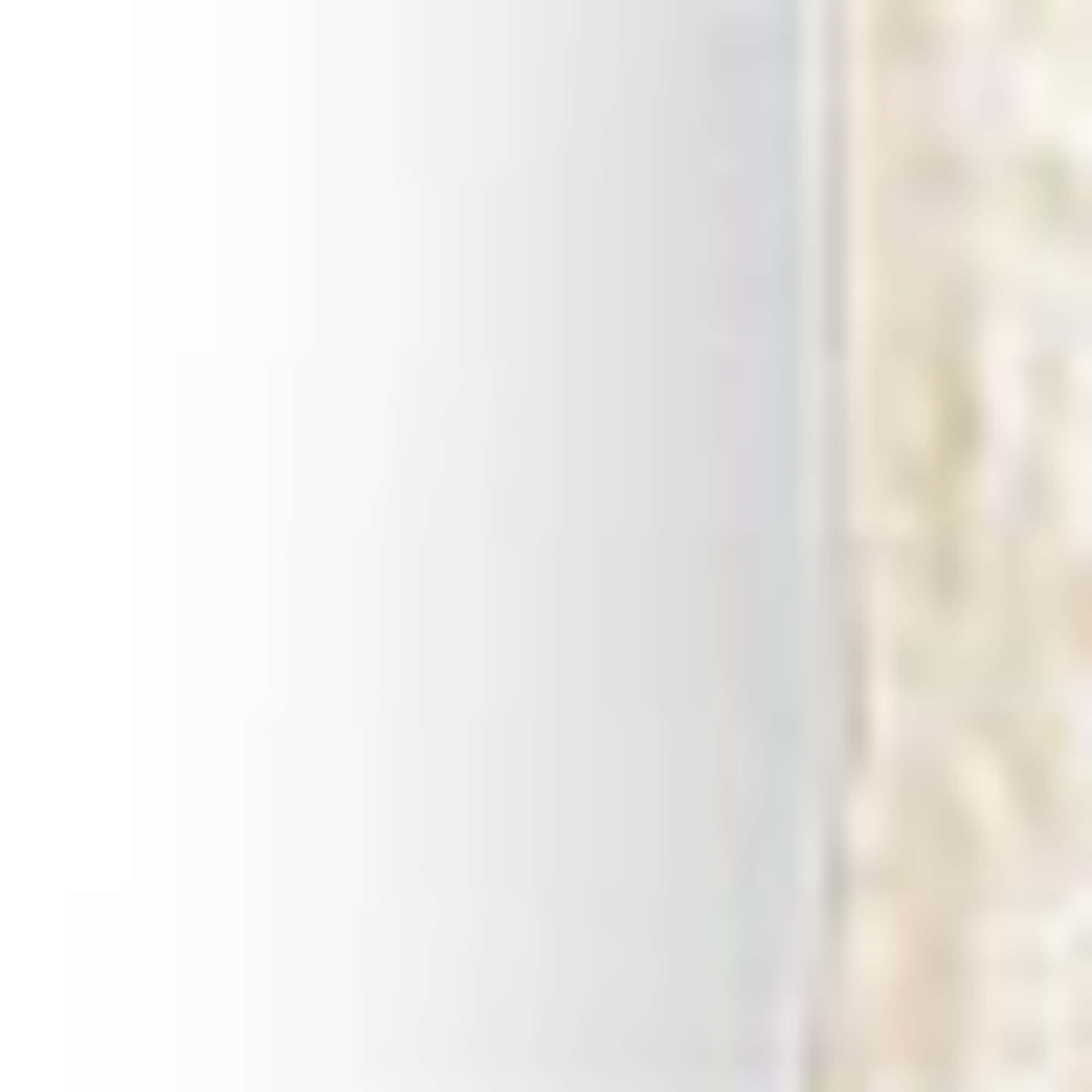 Lace dress cremewhite