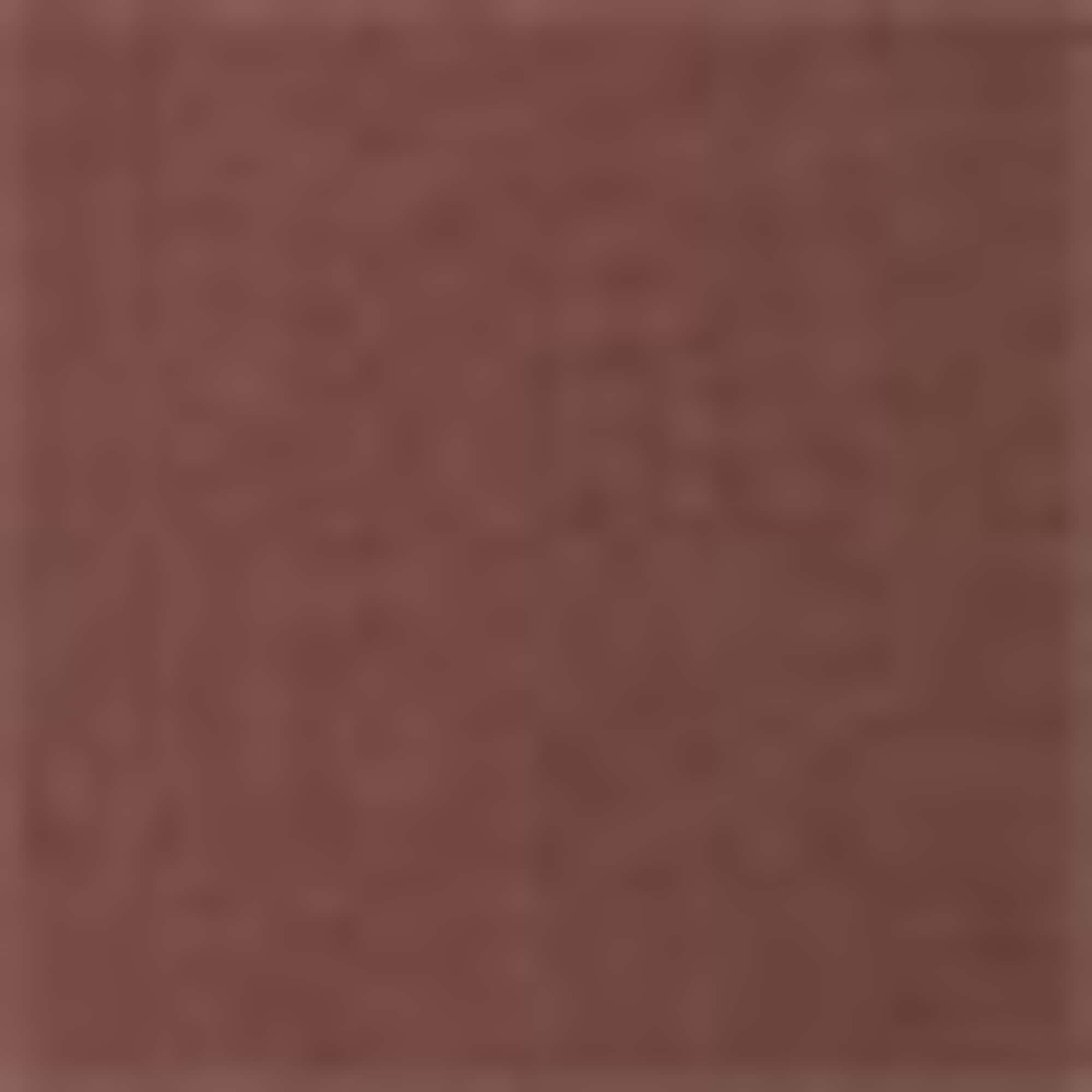 Sweatshirt - 2-in-1 look brown