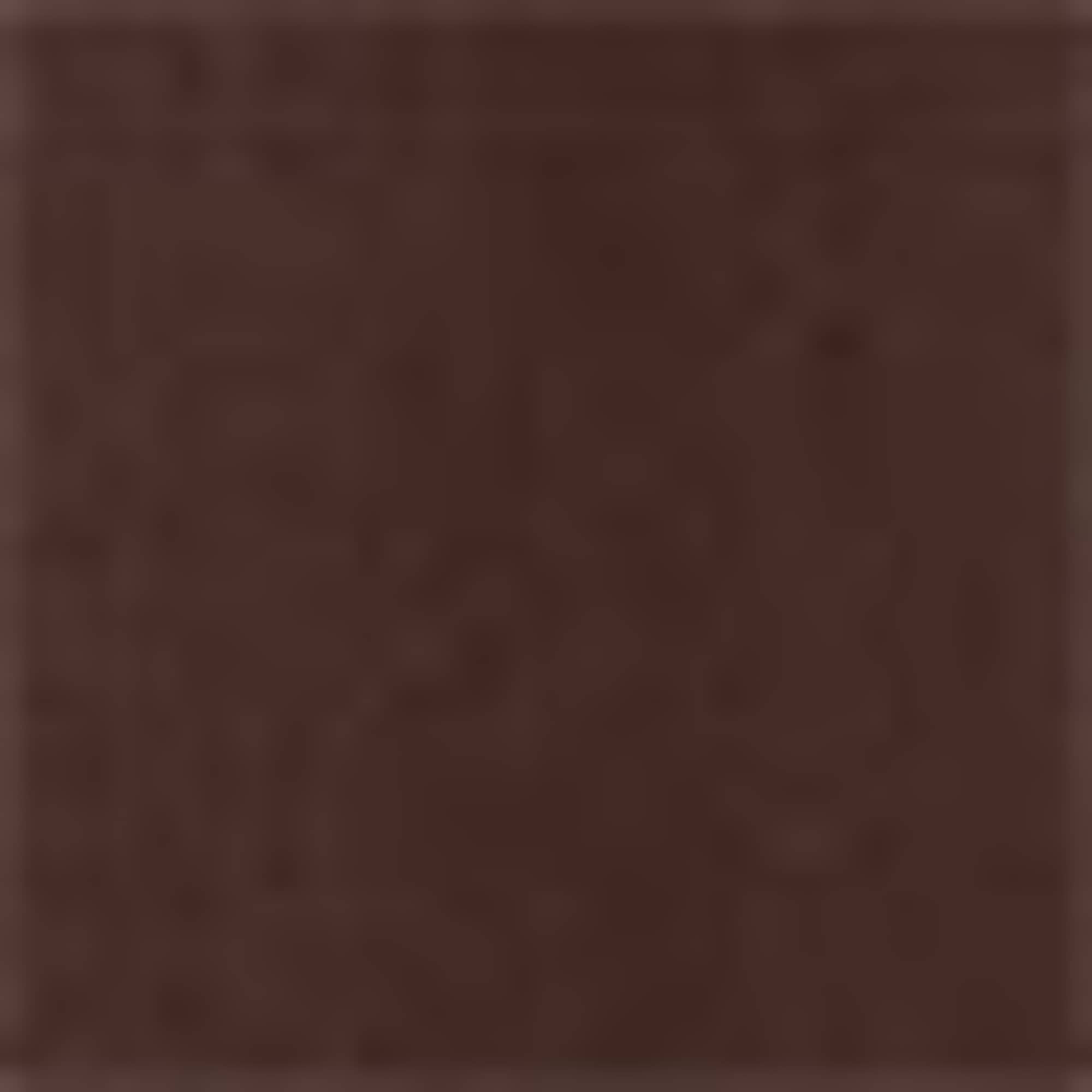 T-shirt - regular fit - 2-in-1 look dark brown