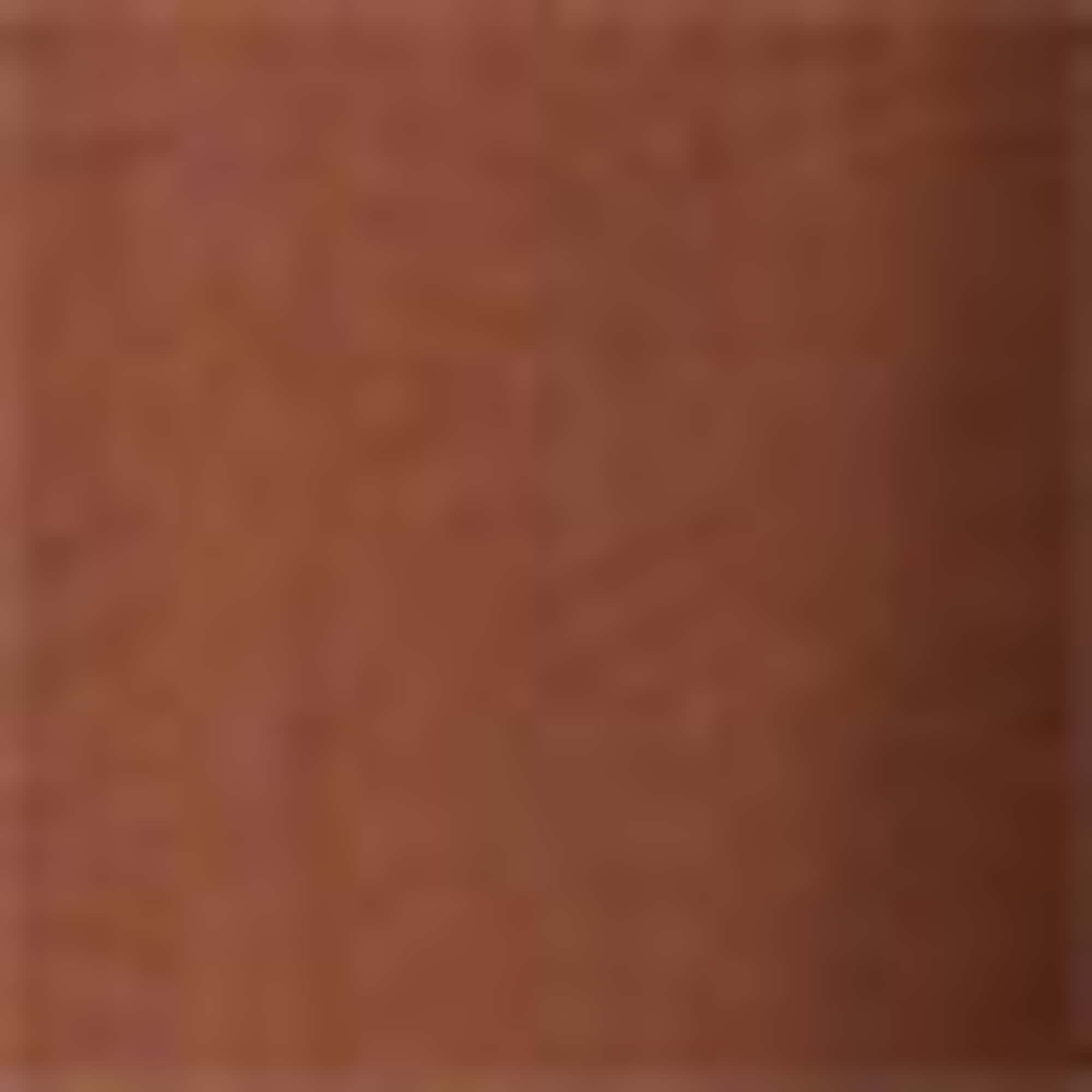 T-shirt - relaxed fit brown