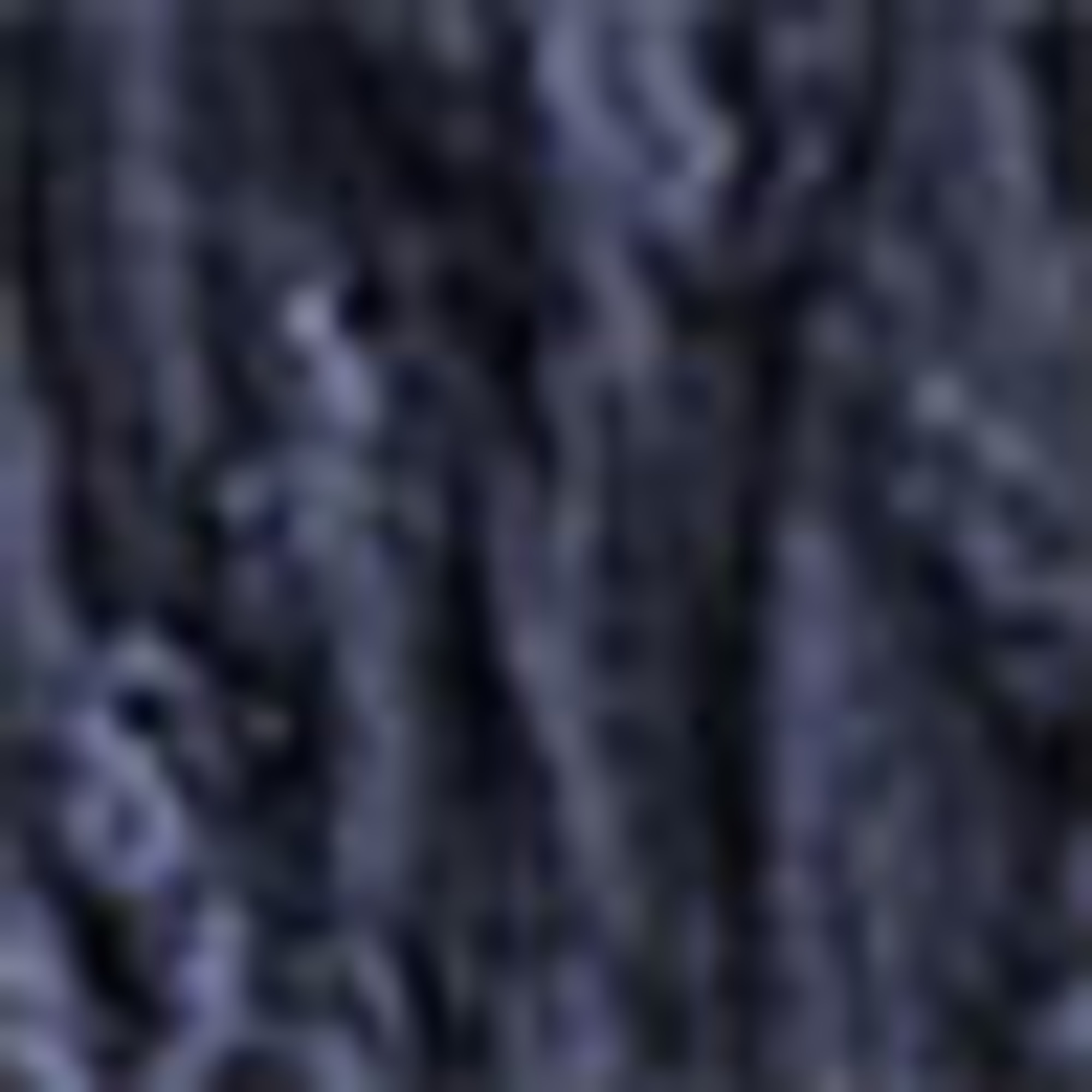 Top - smocked - broderie anglaise dark blue