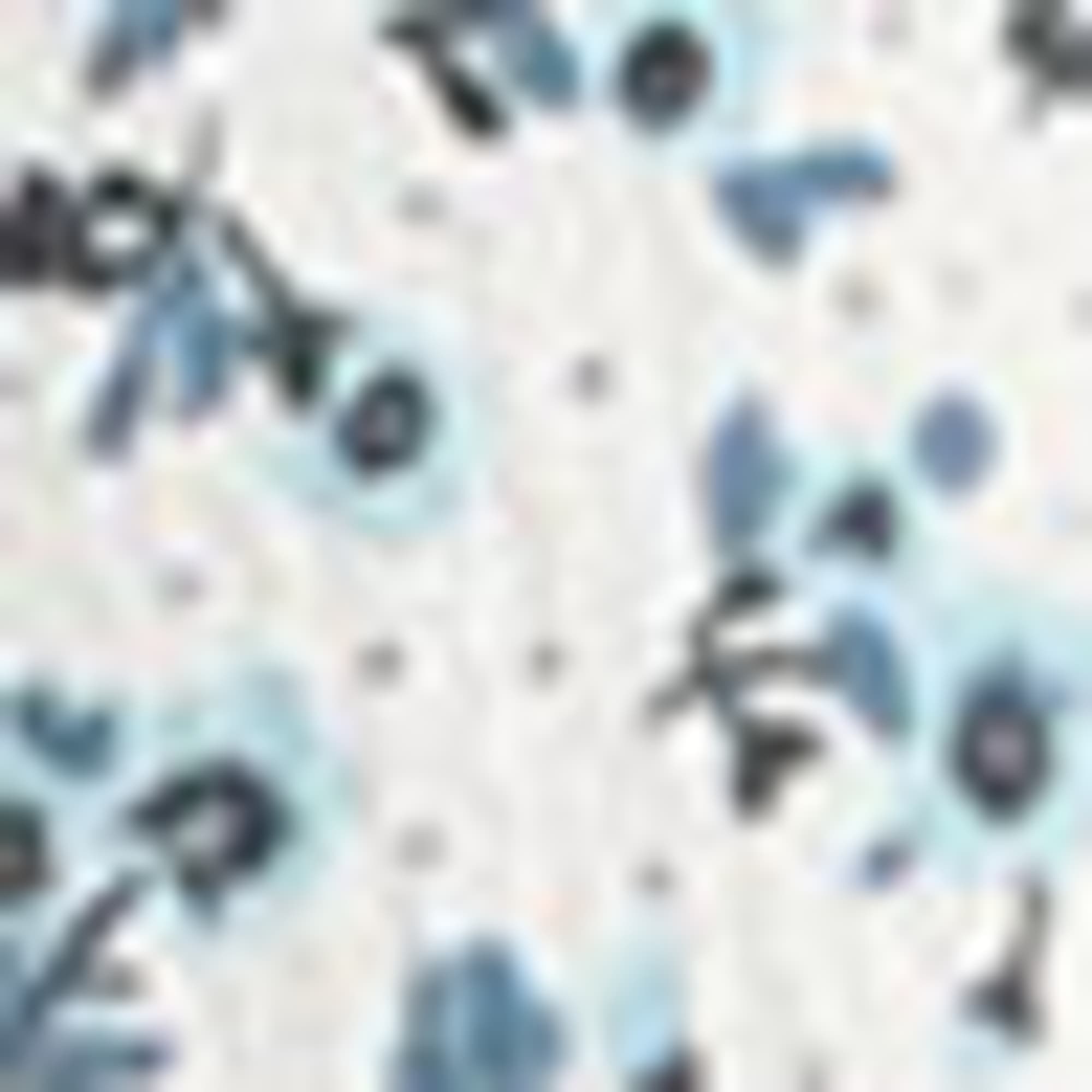 A-line dress - floral white / blue