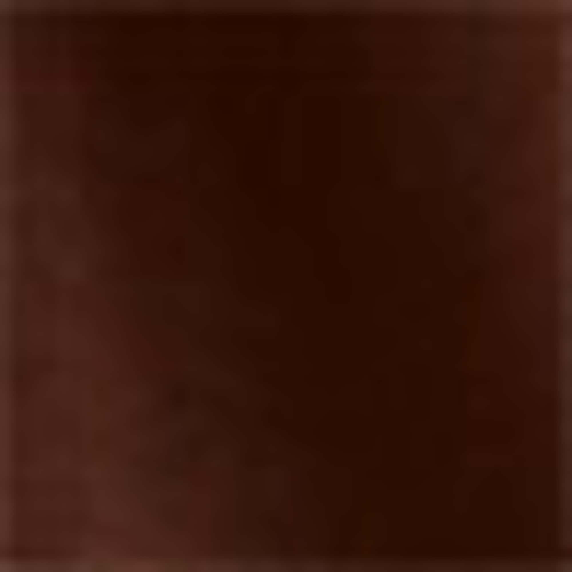 T-shirt - regular fit brown