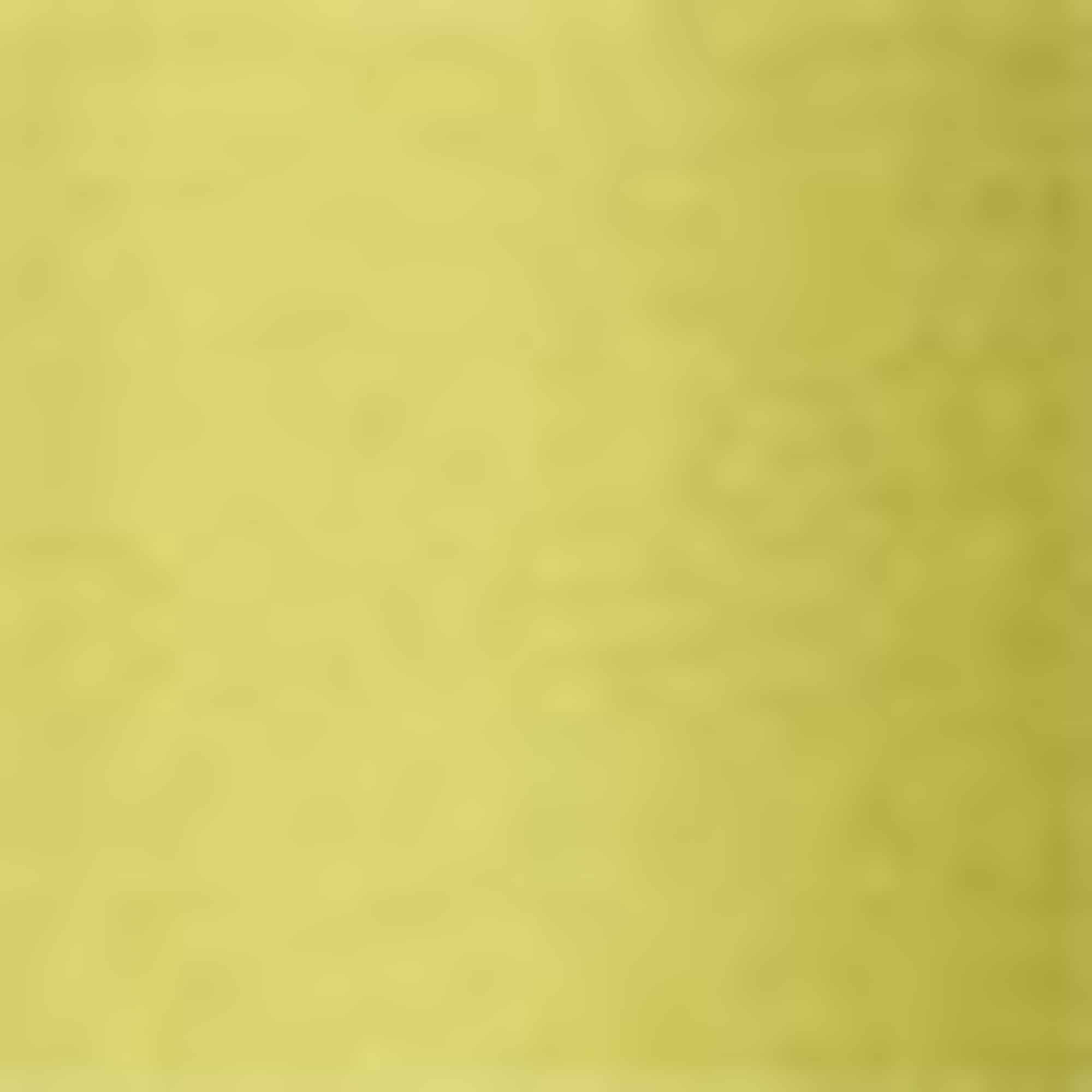 T-shirt - relaxed fit mustard yellow