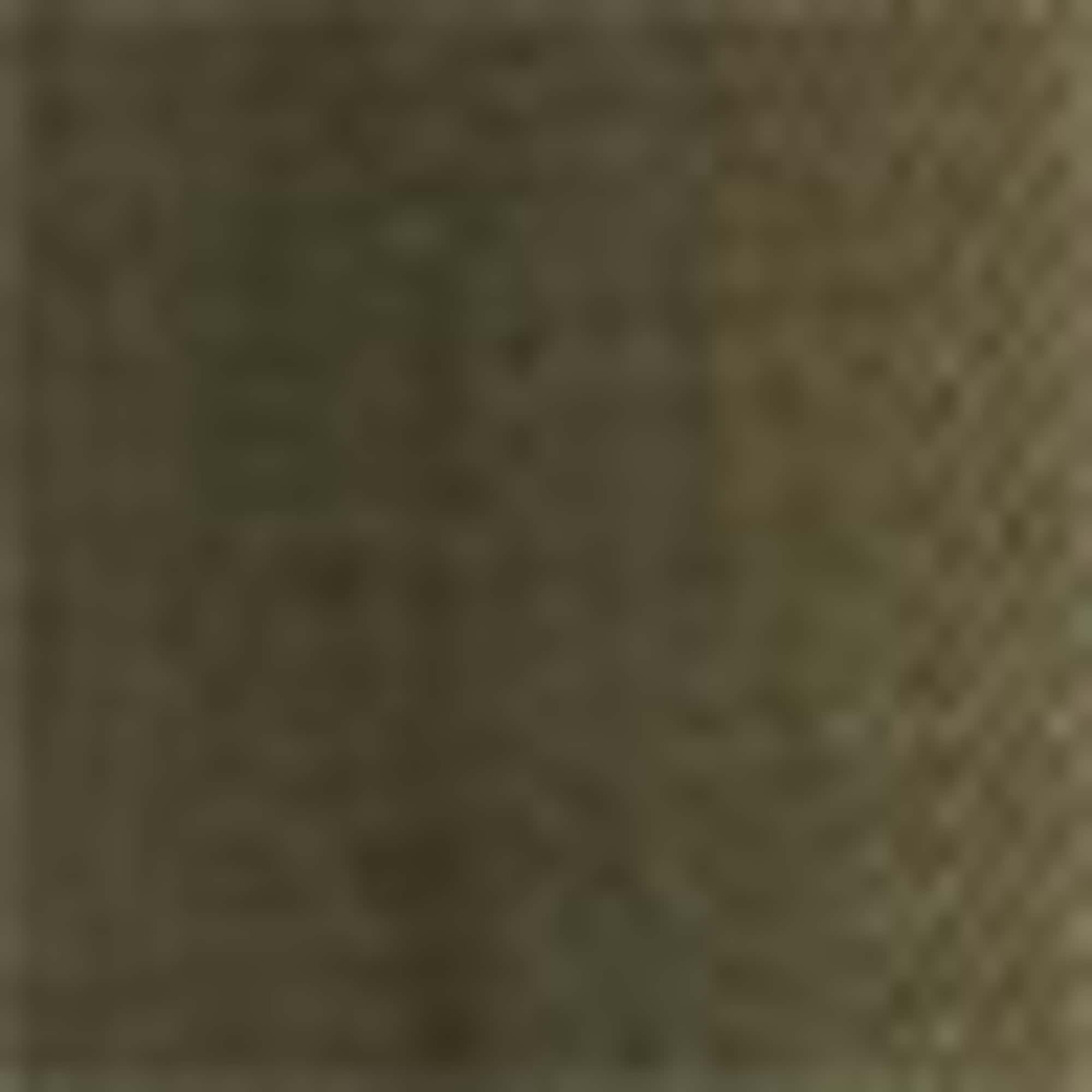 Skirt khaki