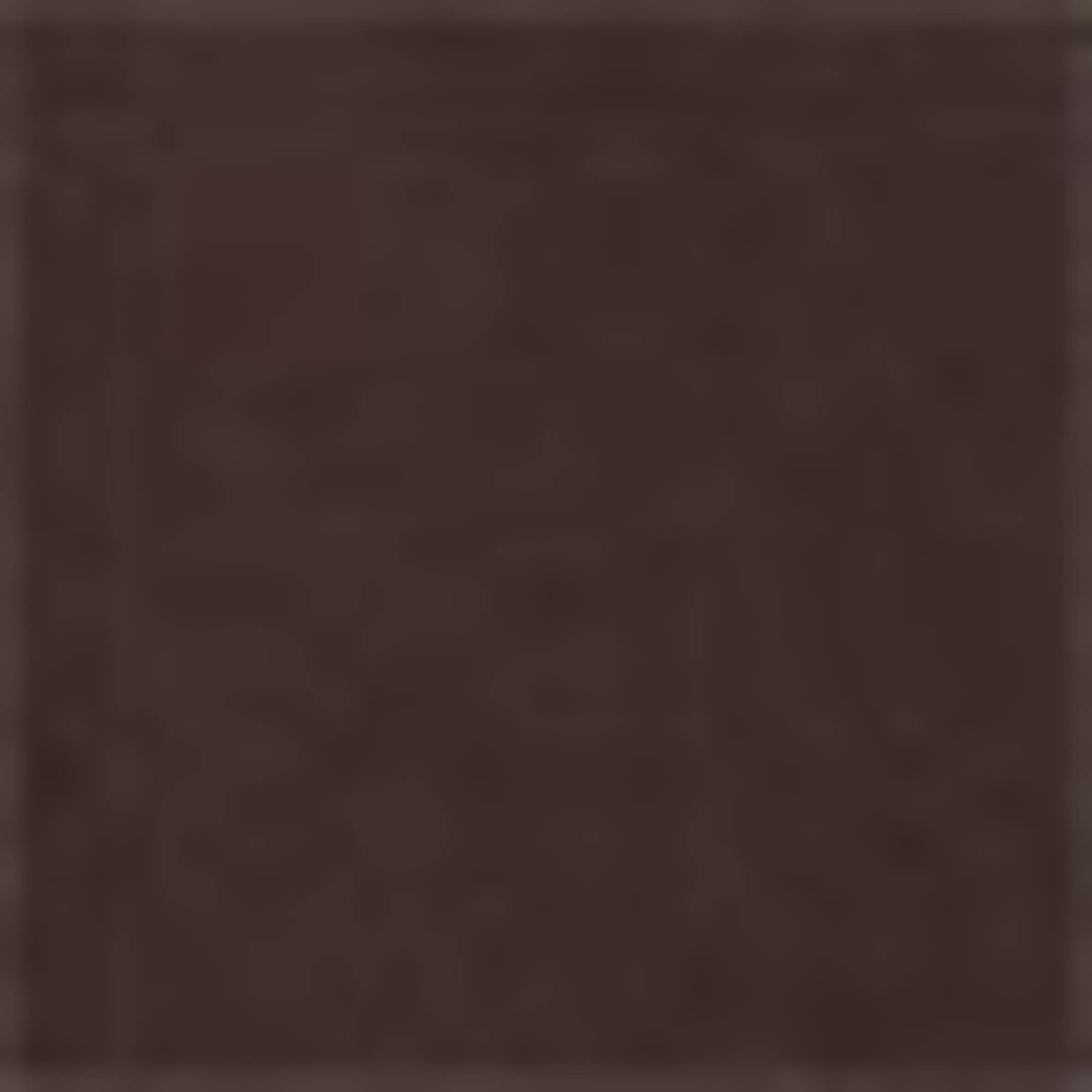 Satin skirt dark brown