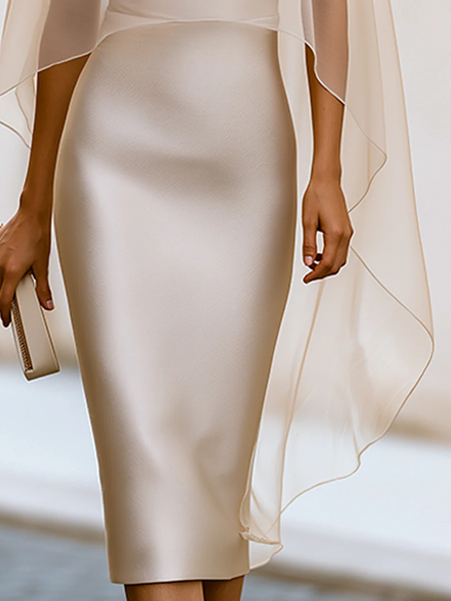 Two-Piece Style Midi Dress With High-Neck Sheer Overlay