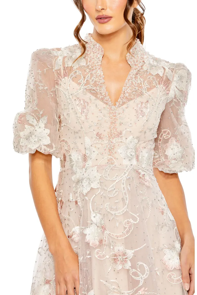 Elegant Embroidered Tulle Queen Anne High-Neck Gown