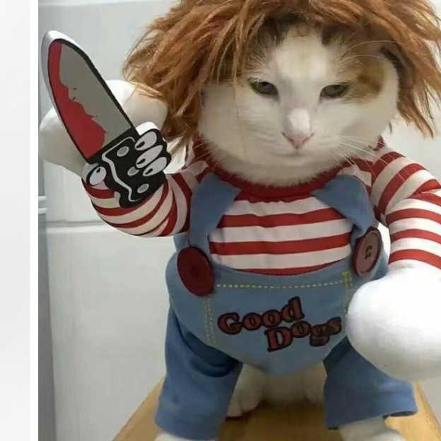 Cat Halloween Costume | CritterCrawl™ & Crawlkin™