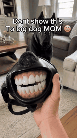 Dog smile muzzle lifestyle GIF