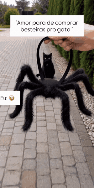 Cat Halloween costume fuzzy spider video