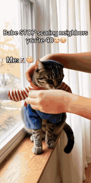 Cat Halloween costume video 3
