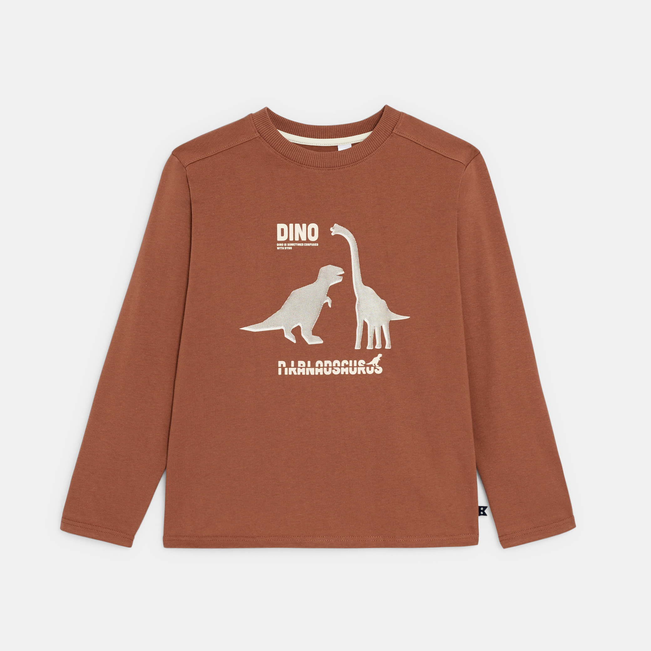 T-shirt manches longues dinosaure marron Garçon - Marron clair