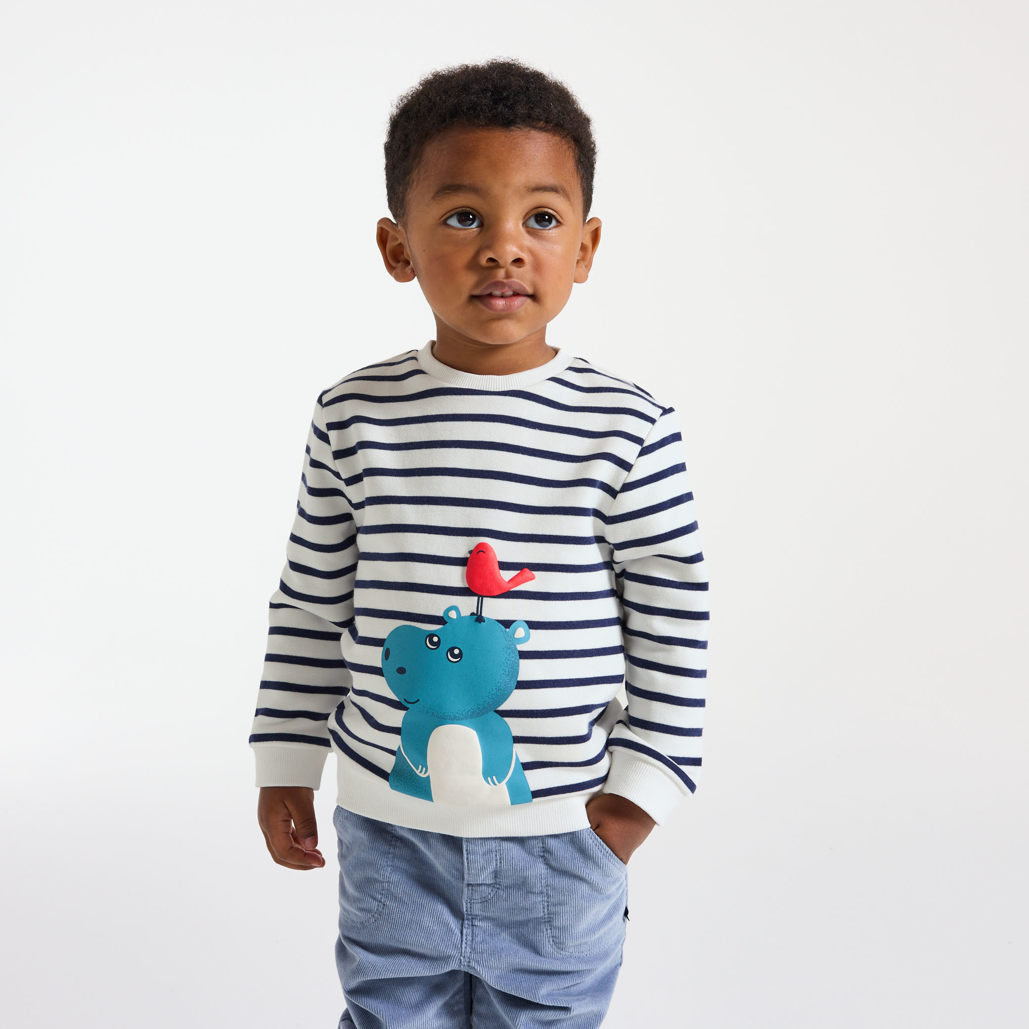 Sweat rayé vert motif animalier bébé garçon - Bleu navy