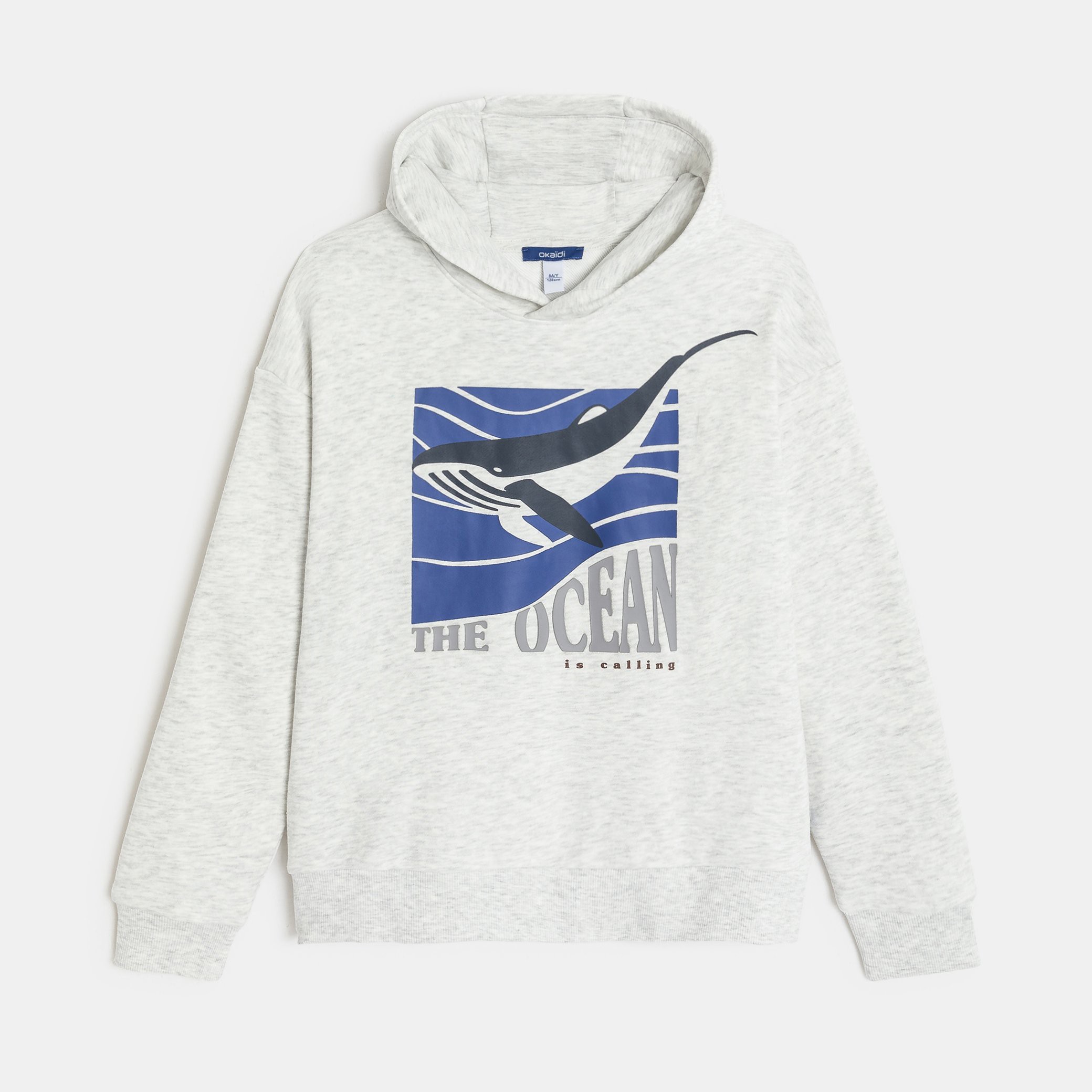 Sweat à capuche molleton gris garçon - Ecru chiné
