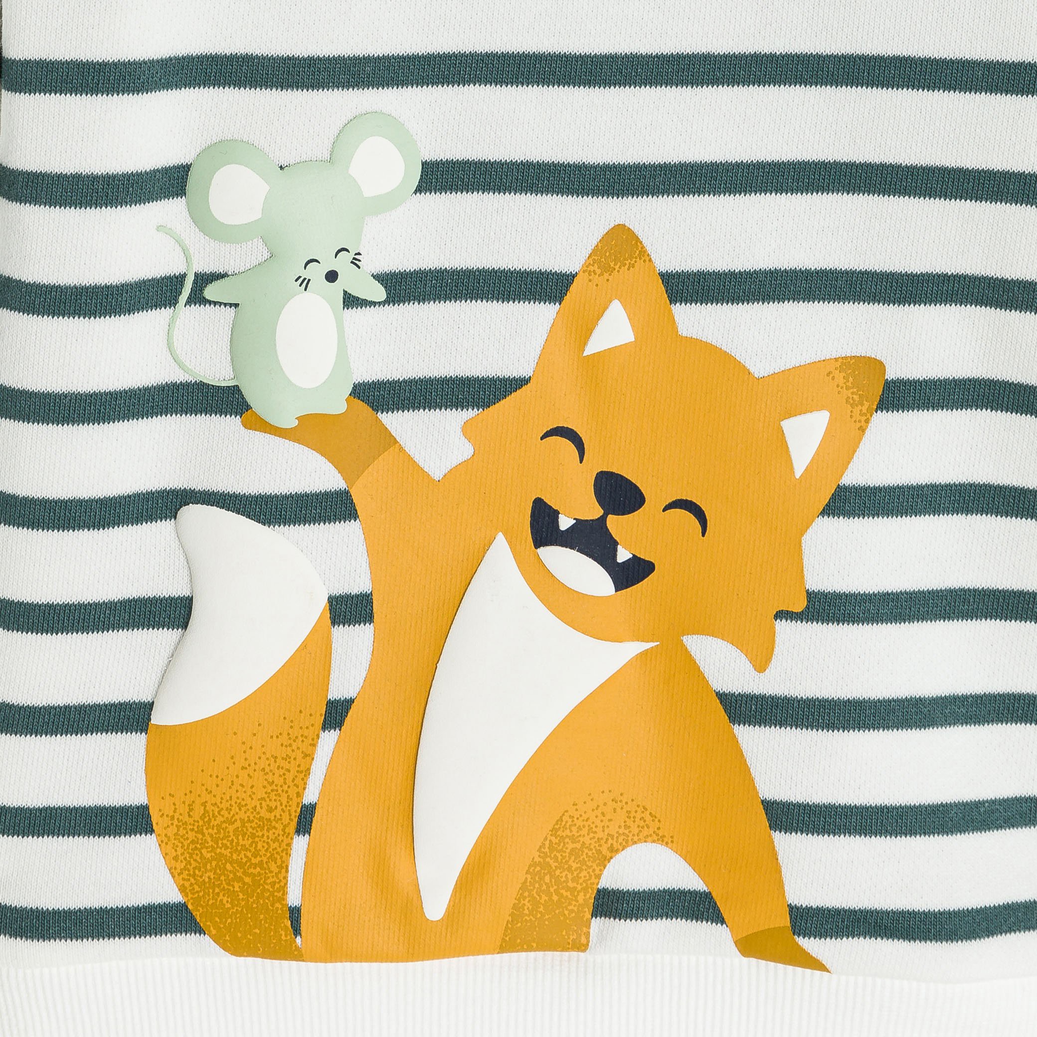 Sweat rayé vert motif animalier bébé garçon - Tilleul Clair