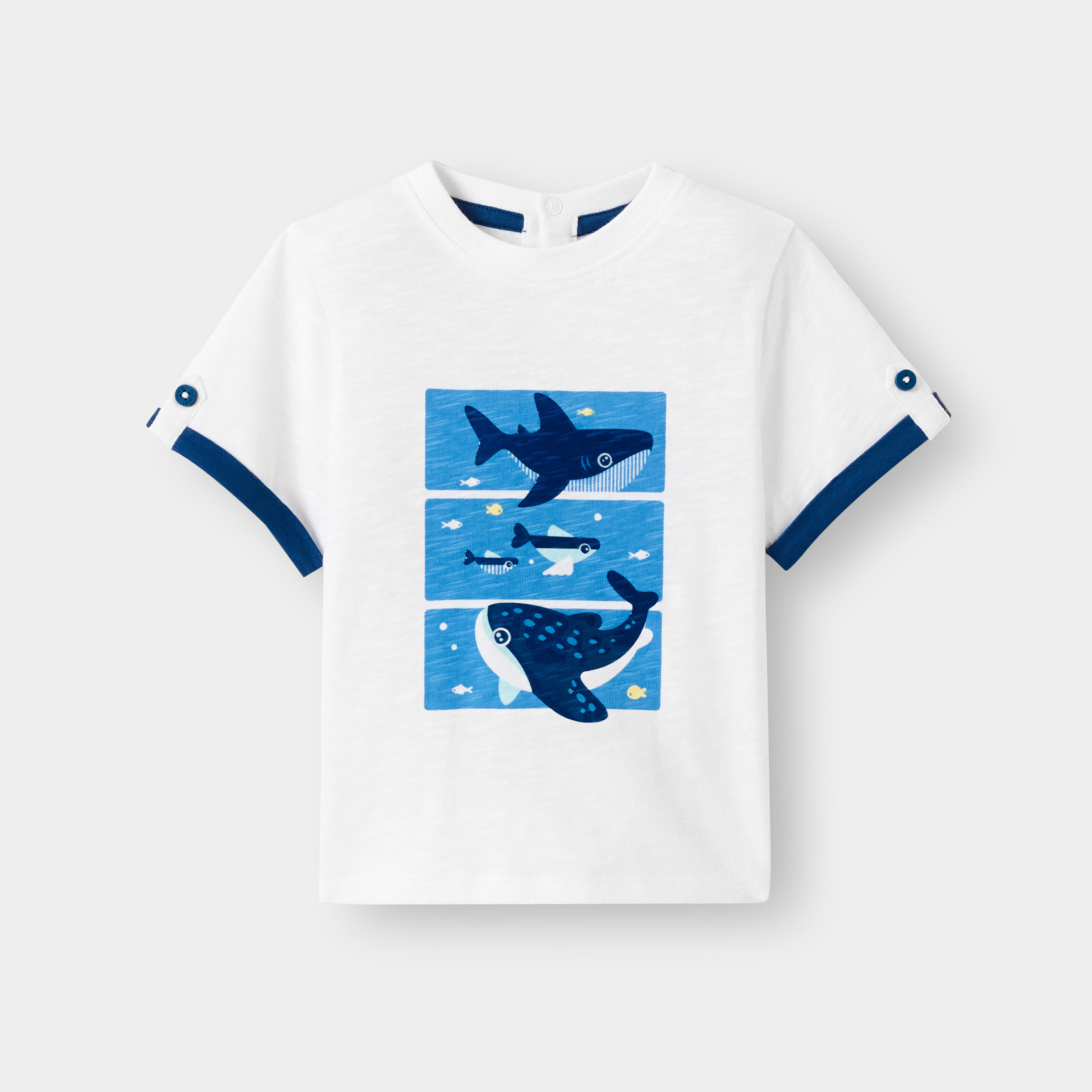 T-shirt baleines bleu bébé garçon - Bleu Outremer