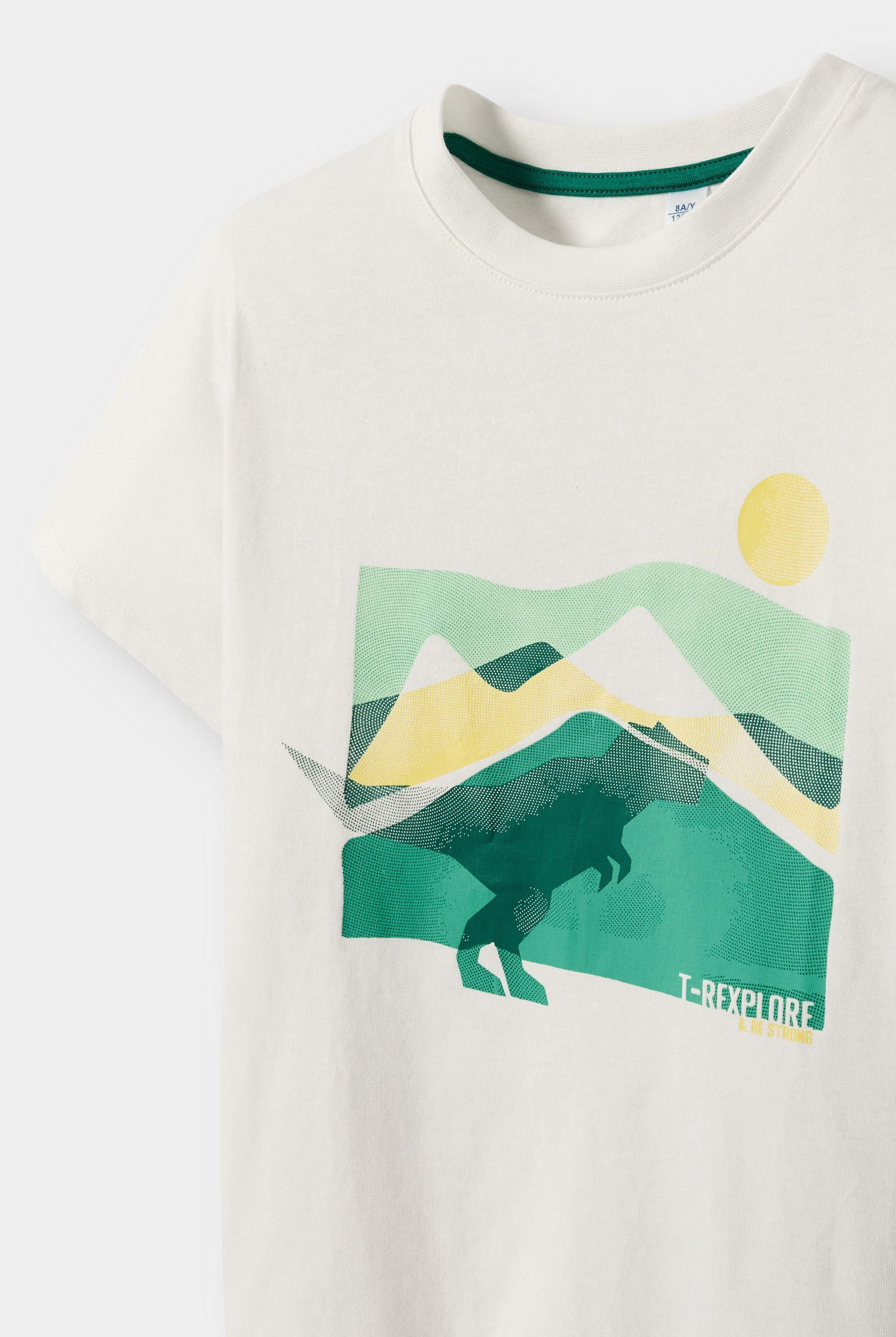 T-shirt motif dinosaure bleu garçon - Ecru