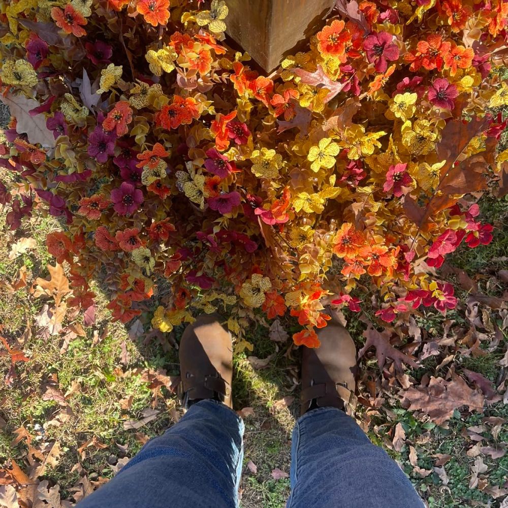 Claire's autumn front planter