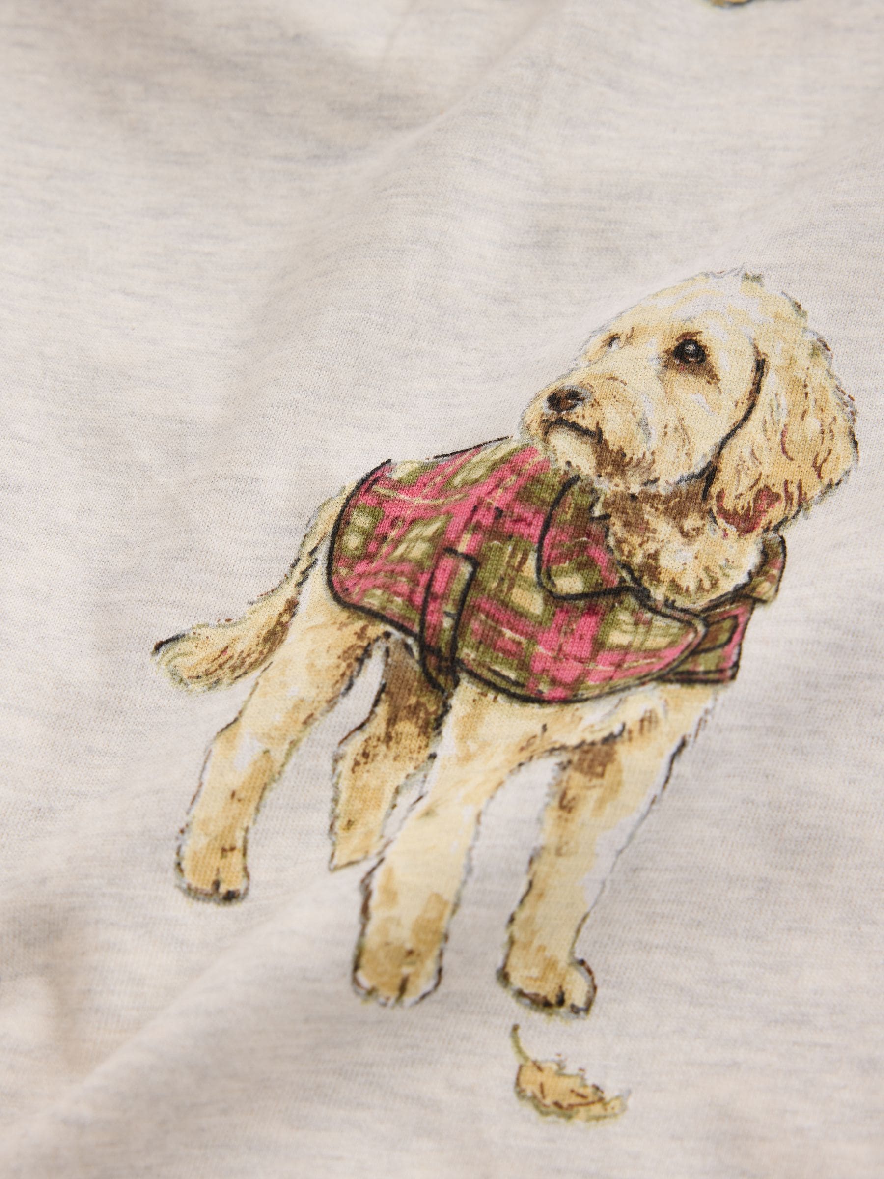 Short Sleeve Pyjamas - Burgundy Red Charlie The Cockapoo - Regular - SIP Worn