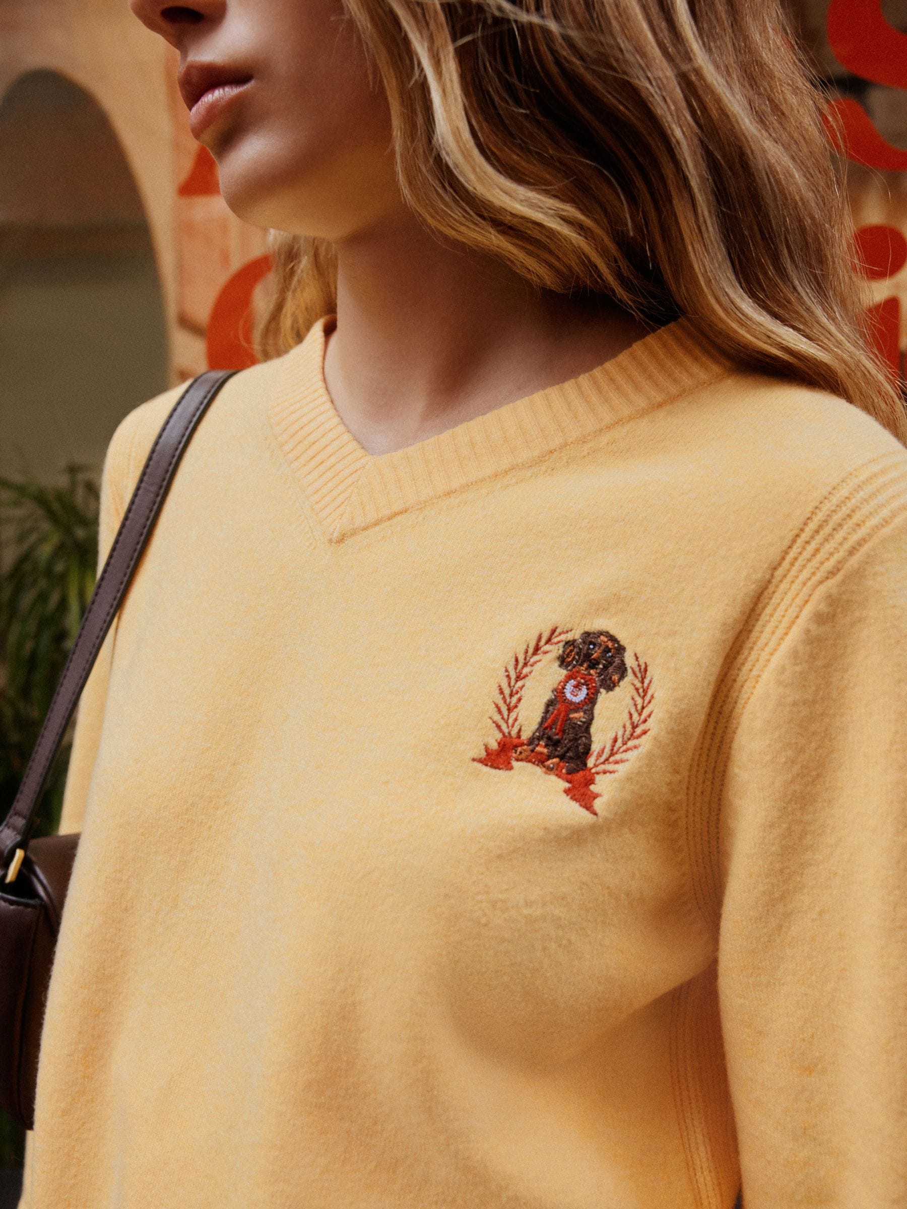 Supersoft V-Neck Long Sleeve Jumper - Yellow Dog Embroidered - Regular - Location Worn