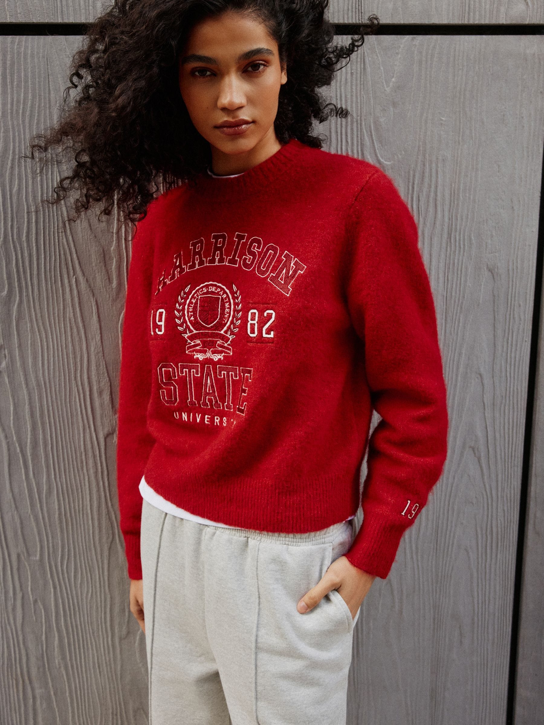 Long Sleeve Crew Neck Knitted Jumper With Wool - Red Collegiate Graphic - Regular - Location Worn