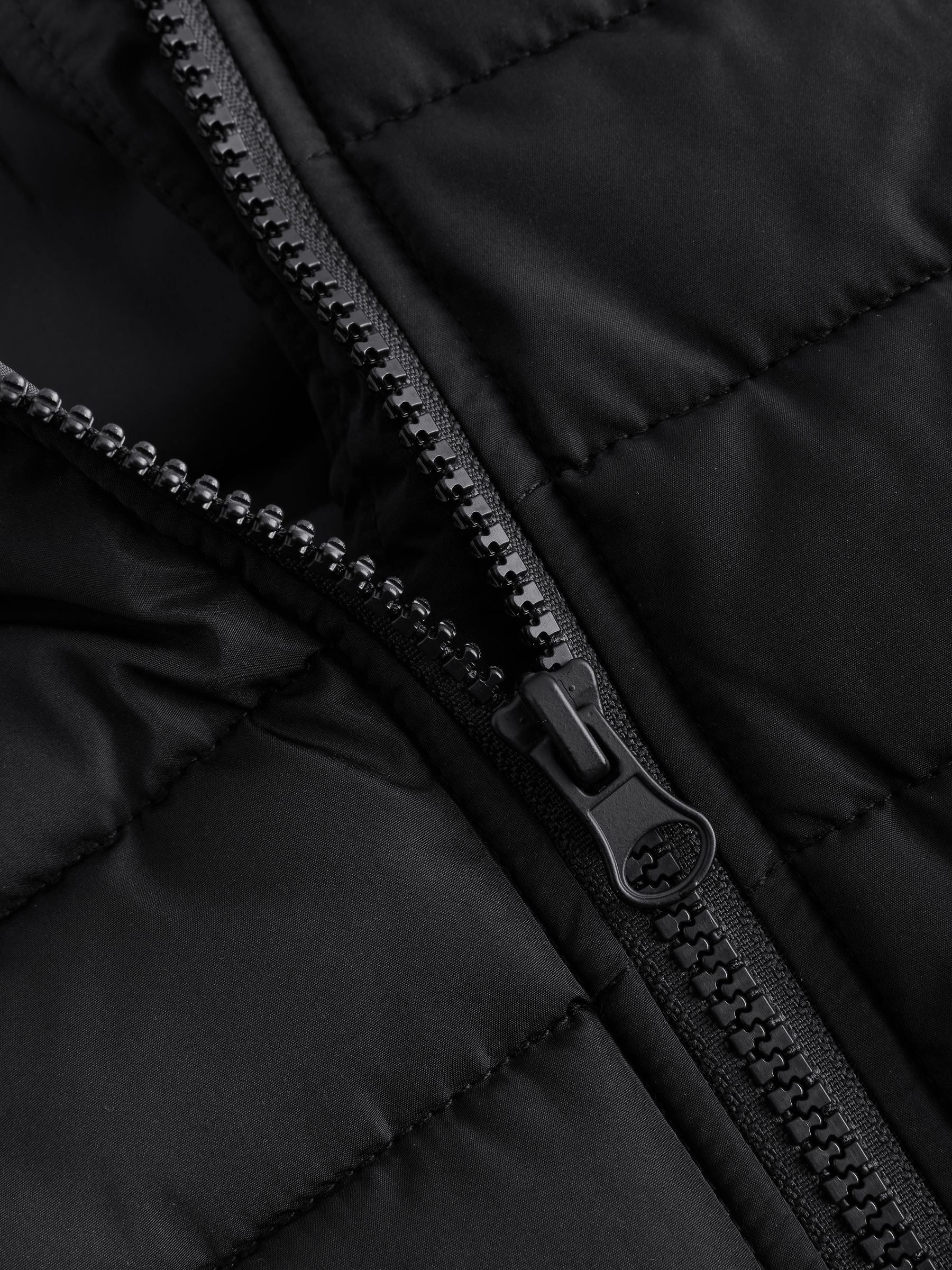 Padded Pet Harness Coat - Black - Regular - SIP Still Life