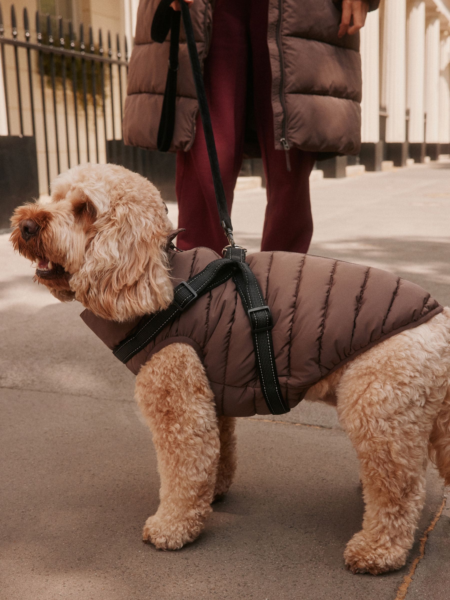 Padded Pet Harness Coat - Chocolate Brown - Regular - Location Worn