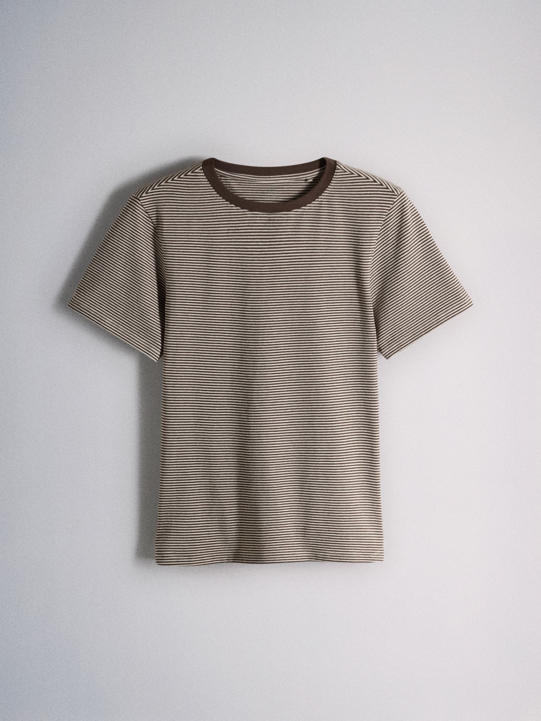 The Set 8 Pack Short Sleeve Skinny Fit Crew Neck Tops - Neutral/Black/Brown/White - Regular - SIP Still Life