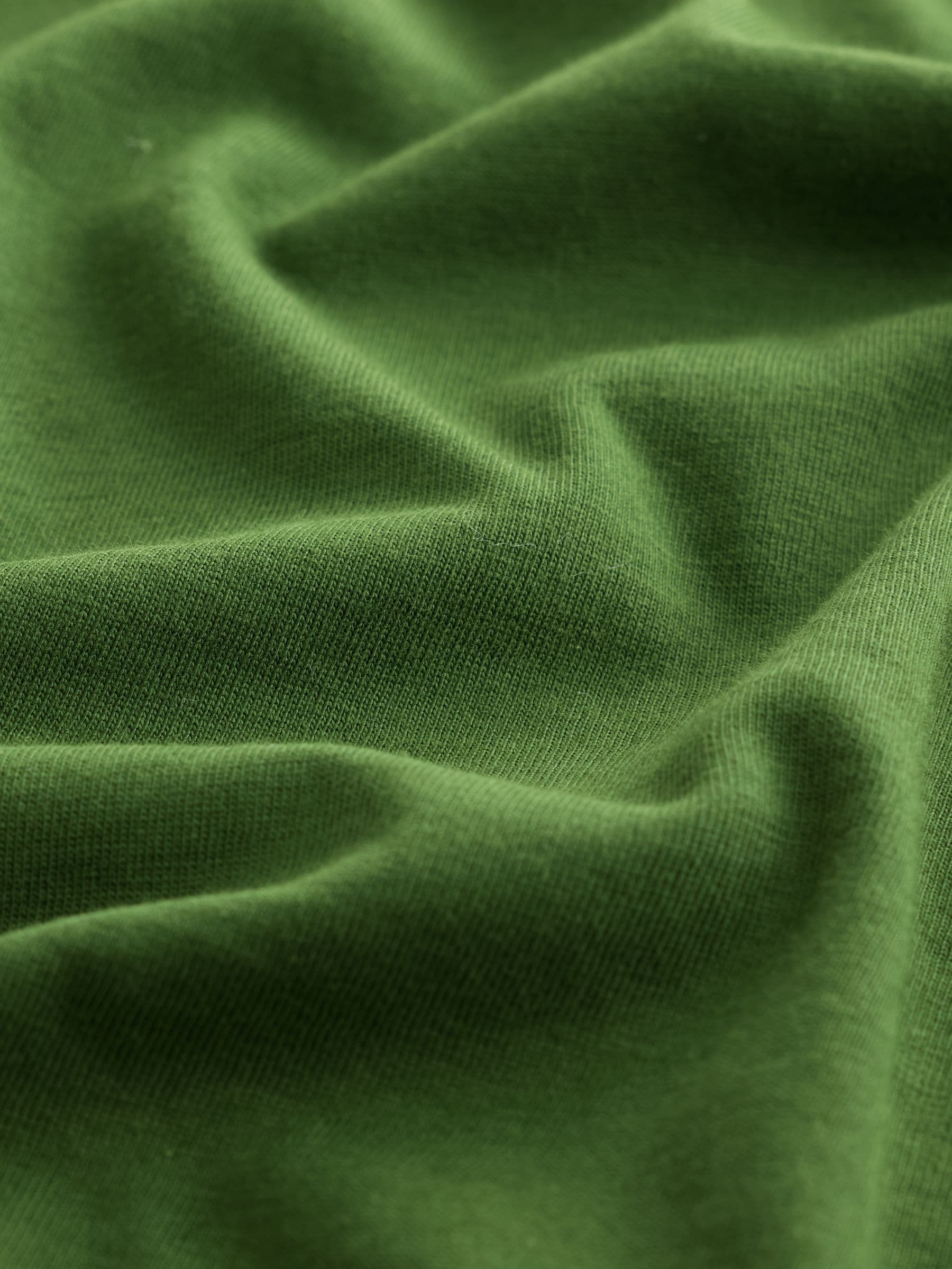 Long Sleeve Crew Neck T-Shirt - Dark Green - Regular - SIP Still Life