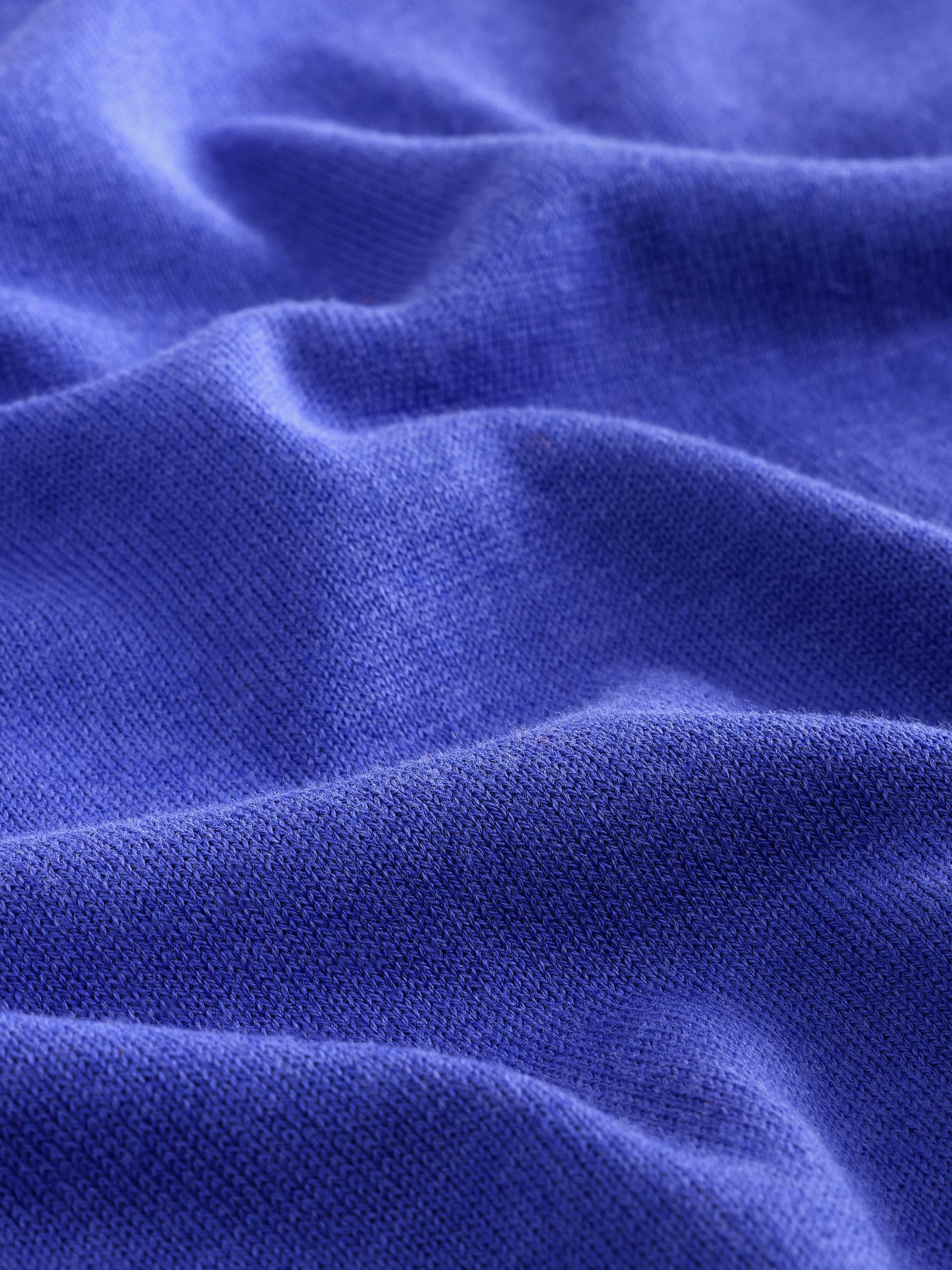 Cotton Rich Soft Touch Long Sleeve Crew Neck Jumper - Cobalt Blue - Regular - SIP Still Life