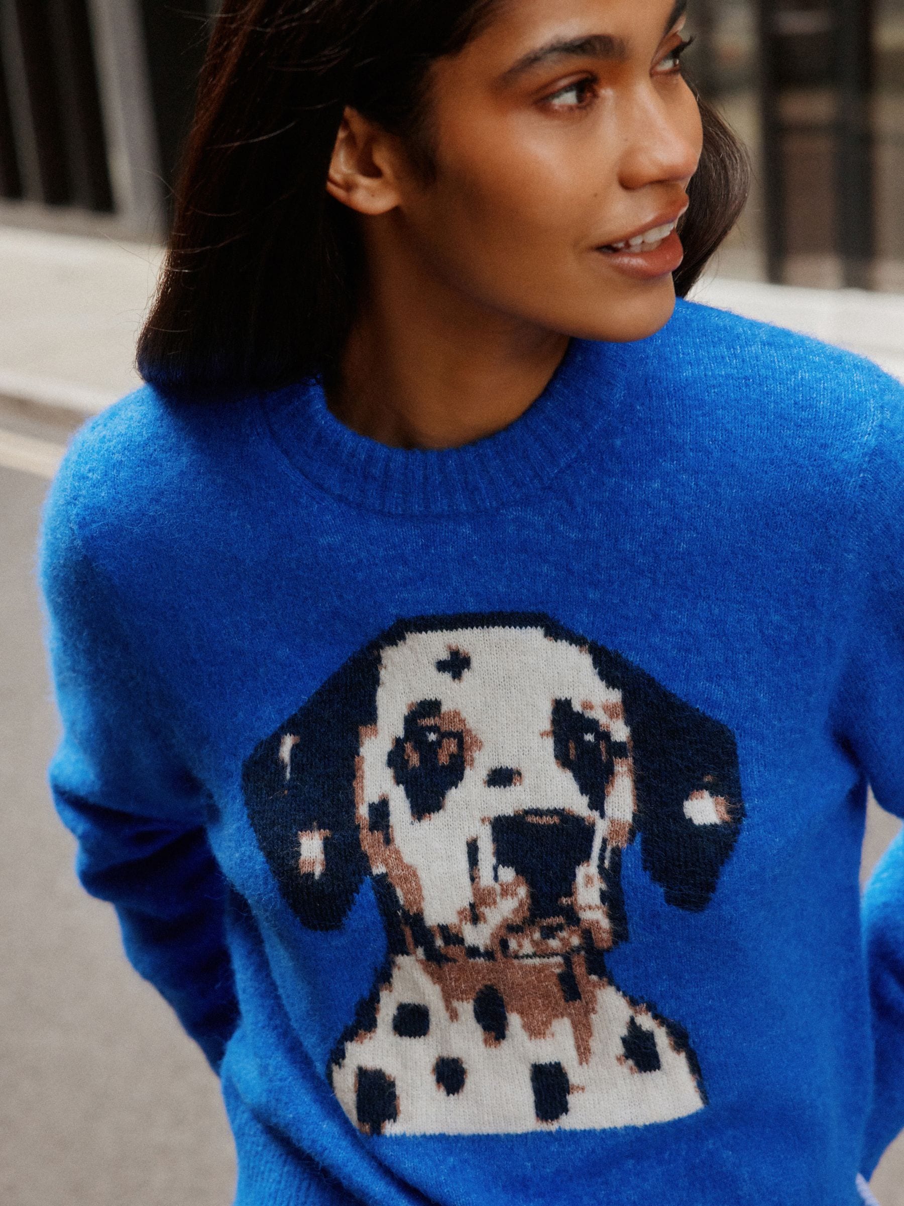 Long Sleeve Crew Neck Knitted Jumper With Wool - Cobalt Blue Dog Graphic - Regular - Location Worn