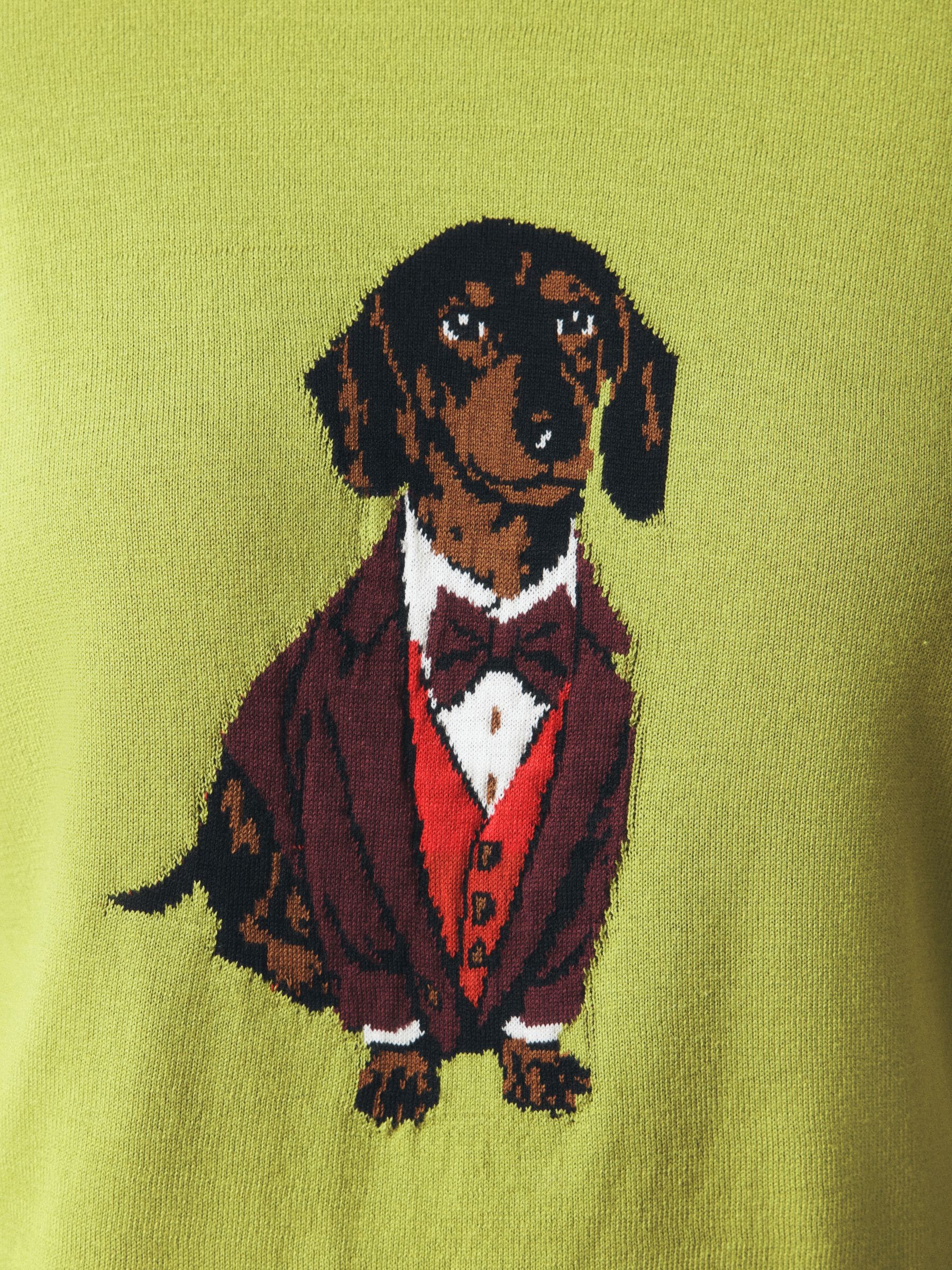 Cotton Rich Soft Touch Long Sleeve Crew Neck Jumper - Green Sausage Dog - Regular - SIP Still Life