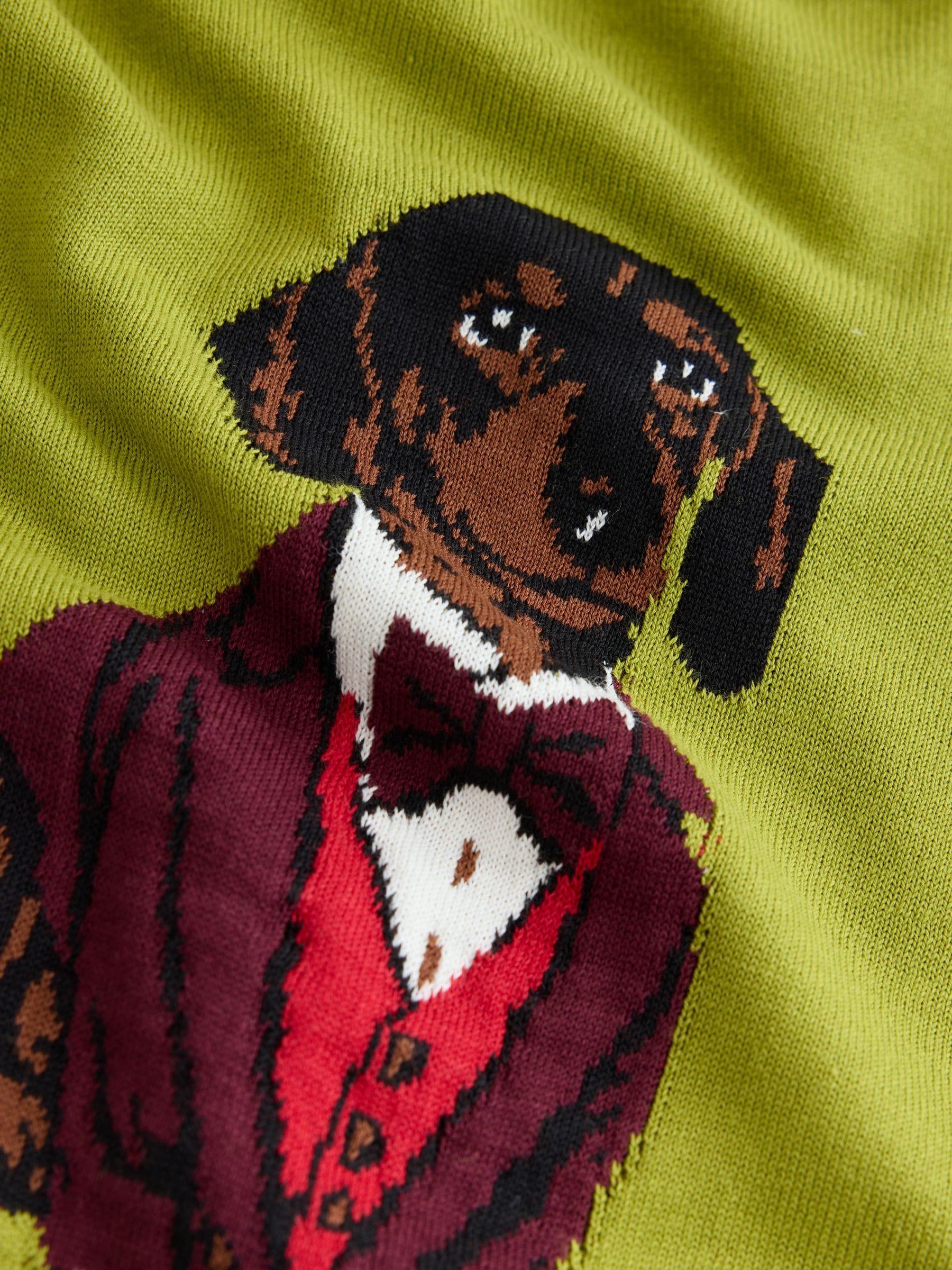 Cotton Rich Soft Touch Long Sleeve Crew Neck Jumper - Green Sausage Dog - Regular - SIP Still Life