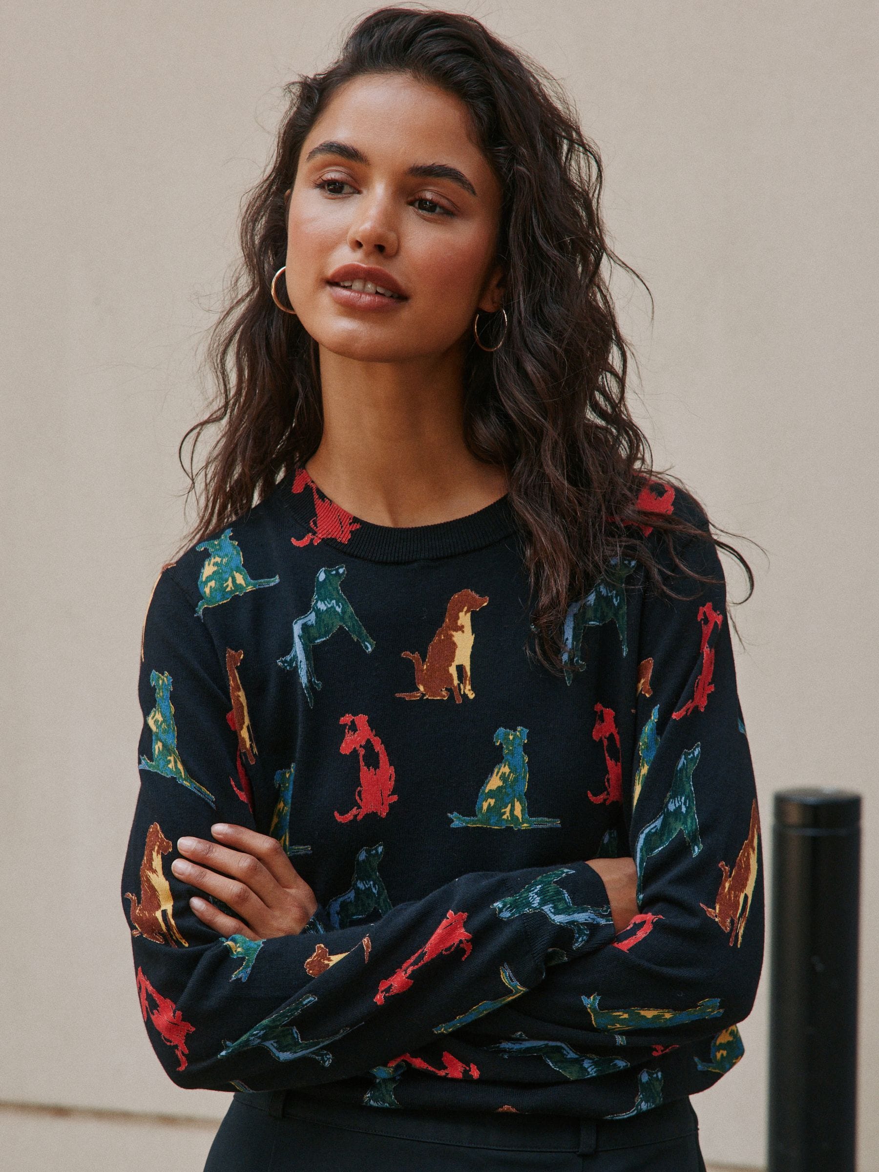 Cotton Rich Soft Touch Long Sleeve Crew Neck Jumper - Rainbow Dog Print - Regular - Location Worn