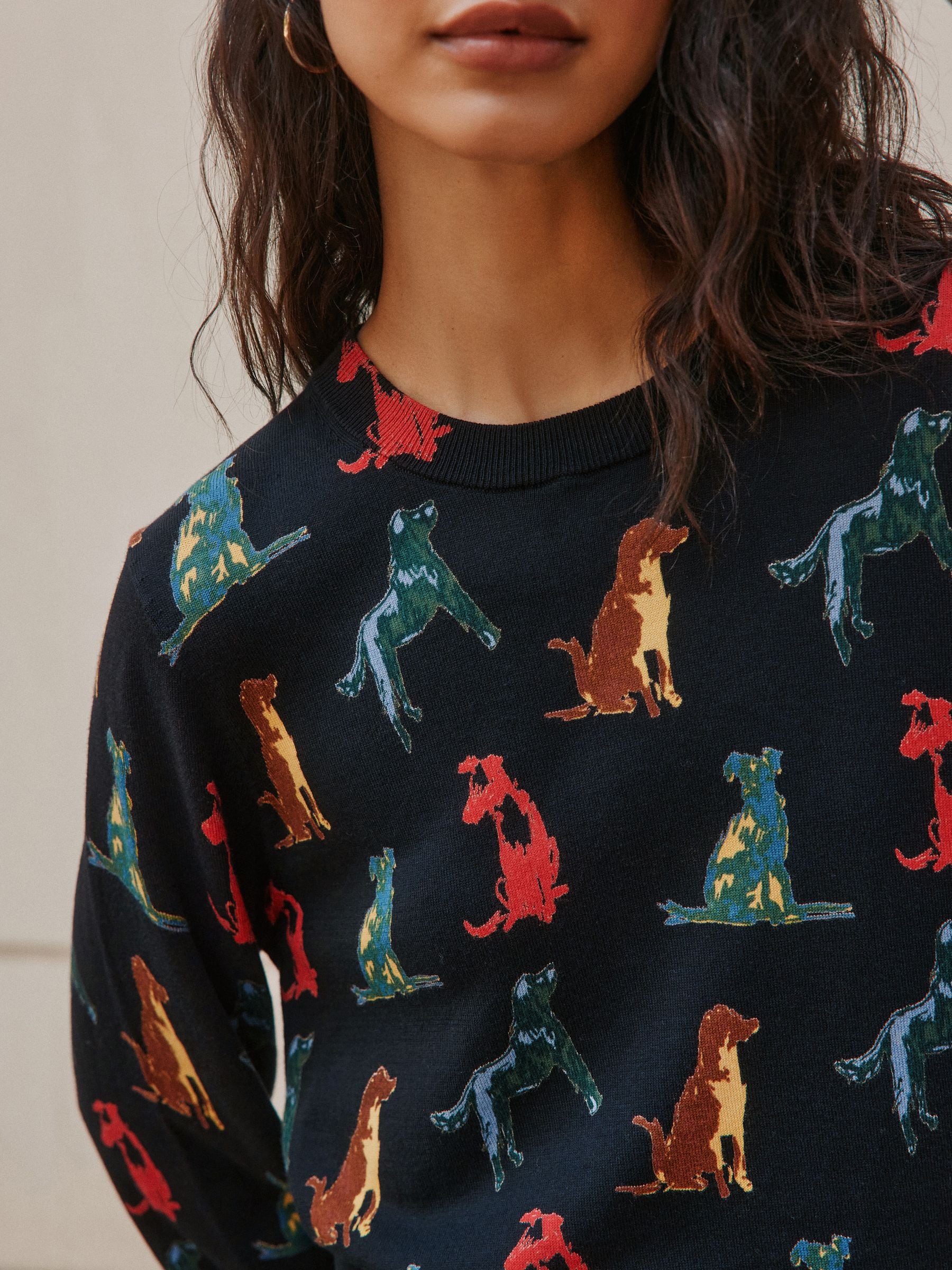 Cotton Rich Soft Touch Long Sleeve Crew Neck Jumper - Rainbow Dog Print - Regular - Location Worn