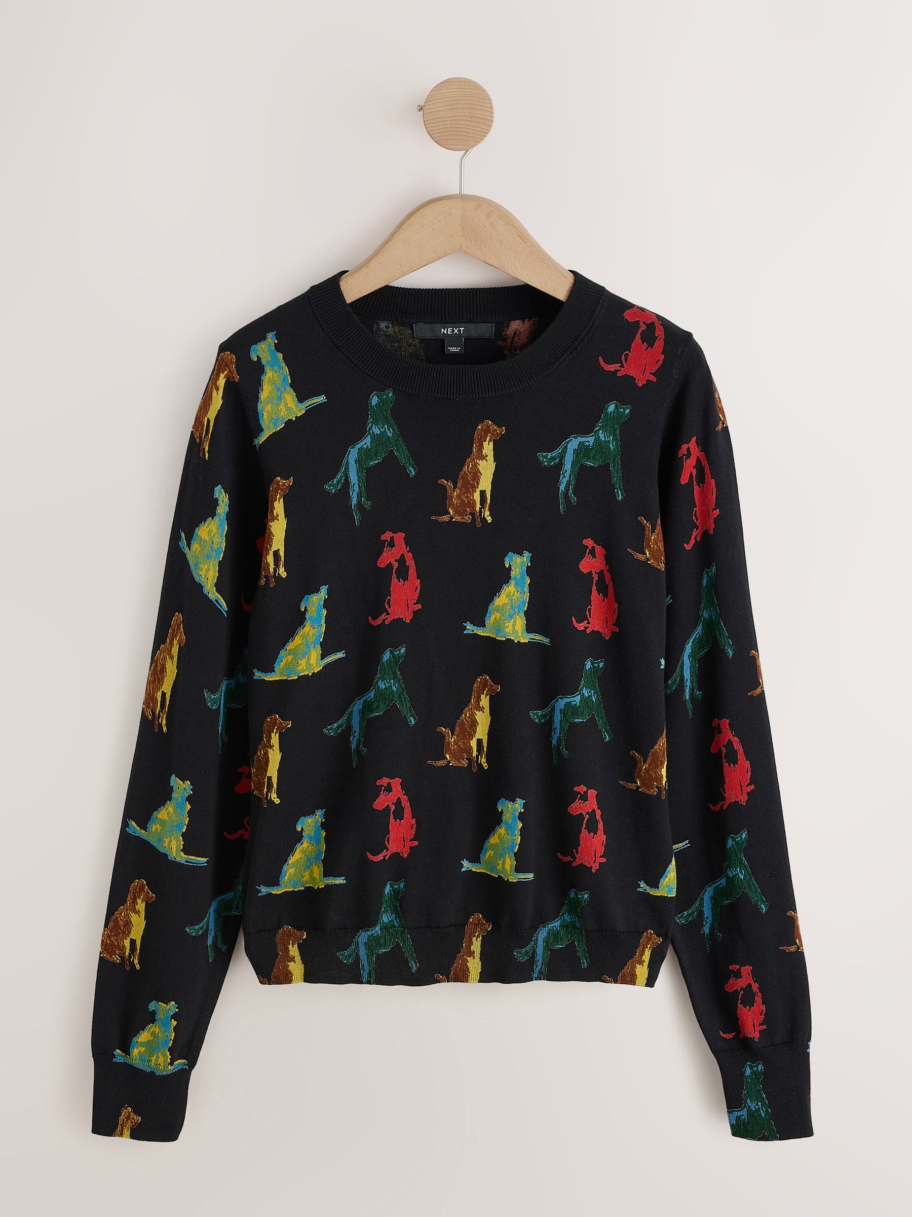 Cotton Rich Soft Touch Long Sleeve Crew Neck Jumper - Rainbow Dog Print - Regular - SIP Still Life