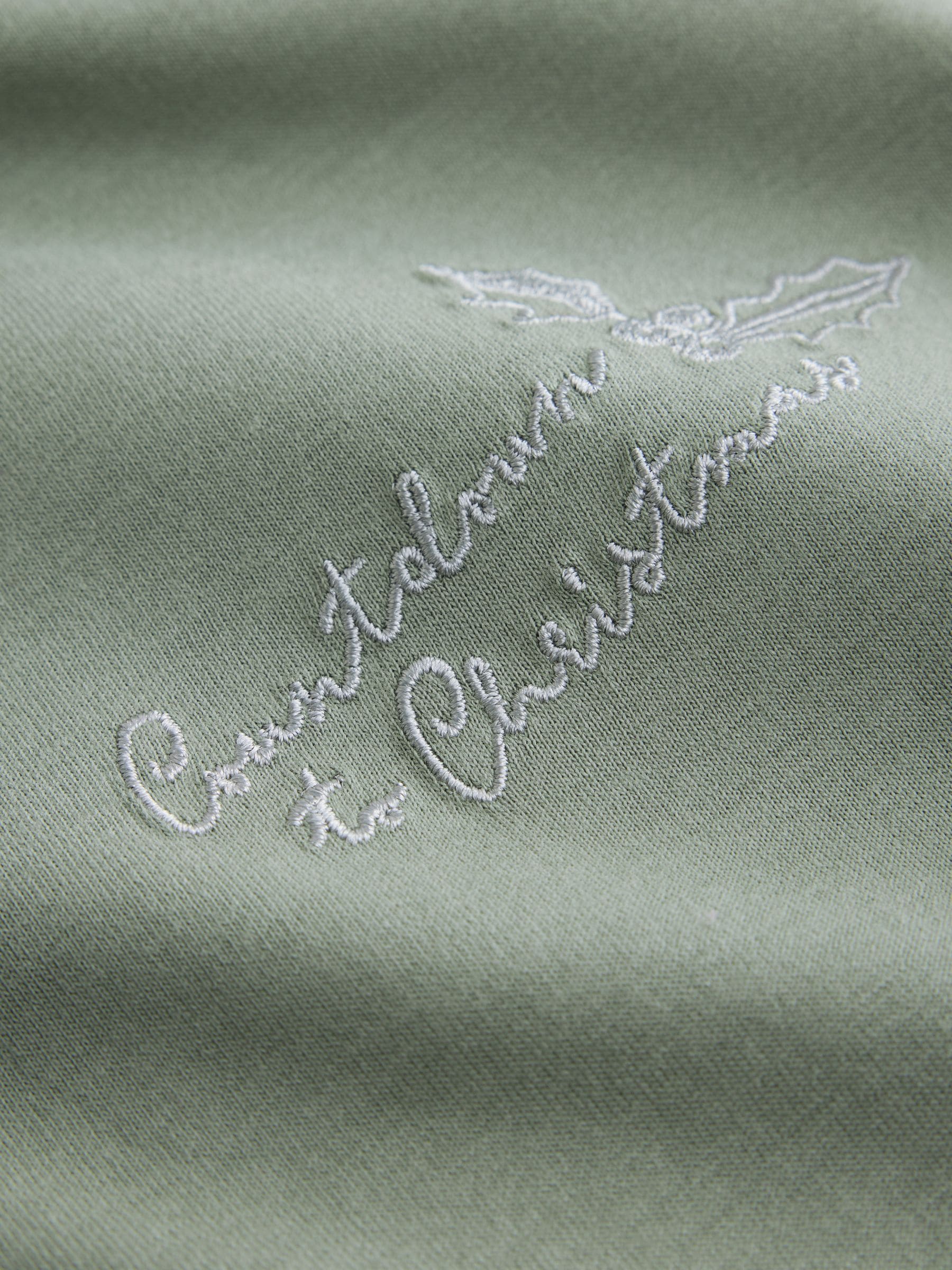 Short Sleeve Pyjamas - Sage Green 12 Days of Christmas - Regular - SIP Still Life