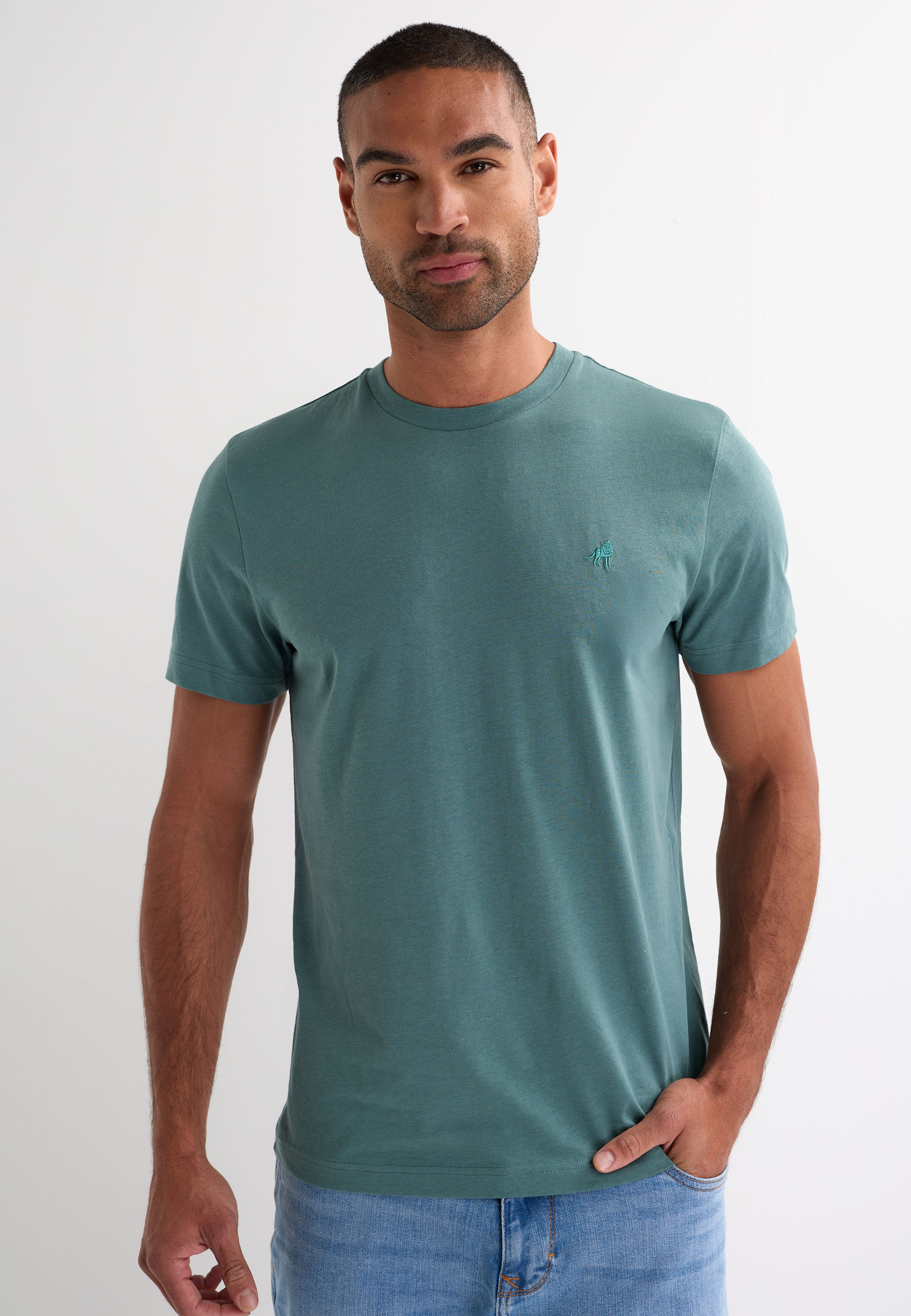 Mens Teal Crew Neck Cotton T-Shirt
