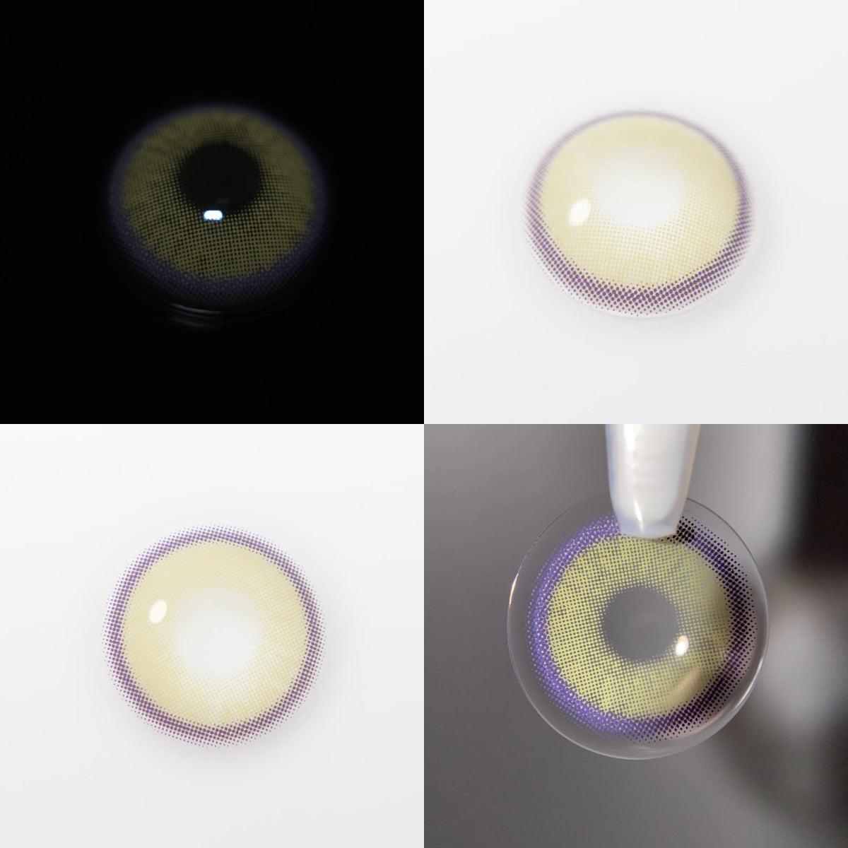 Neala Violet Contact Lenses(12 months wear)