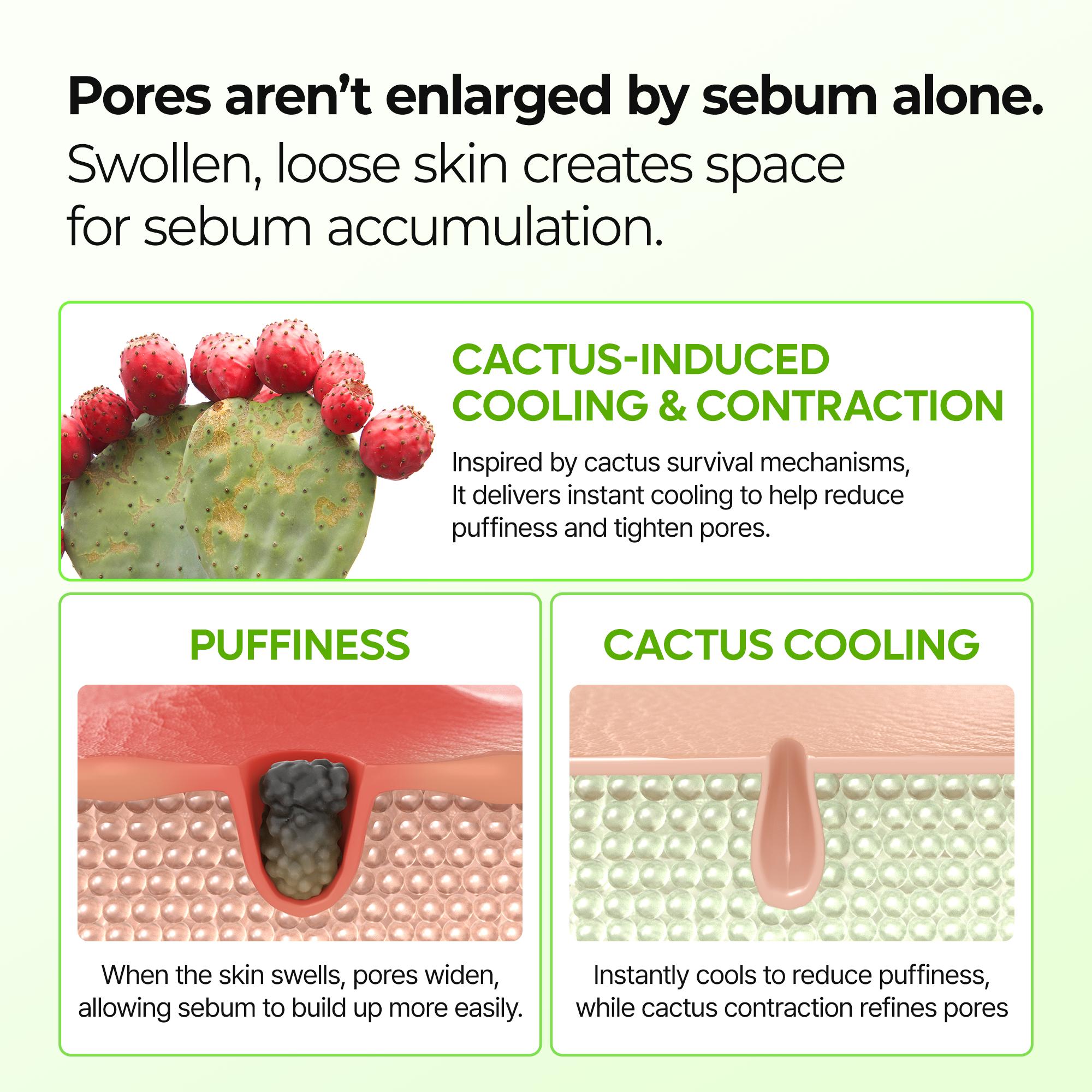 [Dr.Melaxin Official] Cactox & Collagen Multi Pore Firming Duo with Cactus Cooling & Eye Care Stick for Visible Pore Refining and Skin Repair