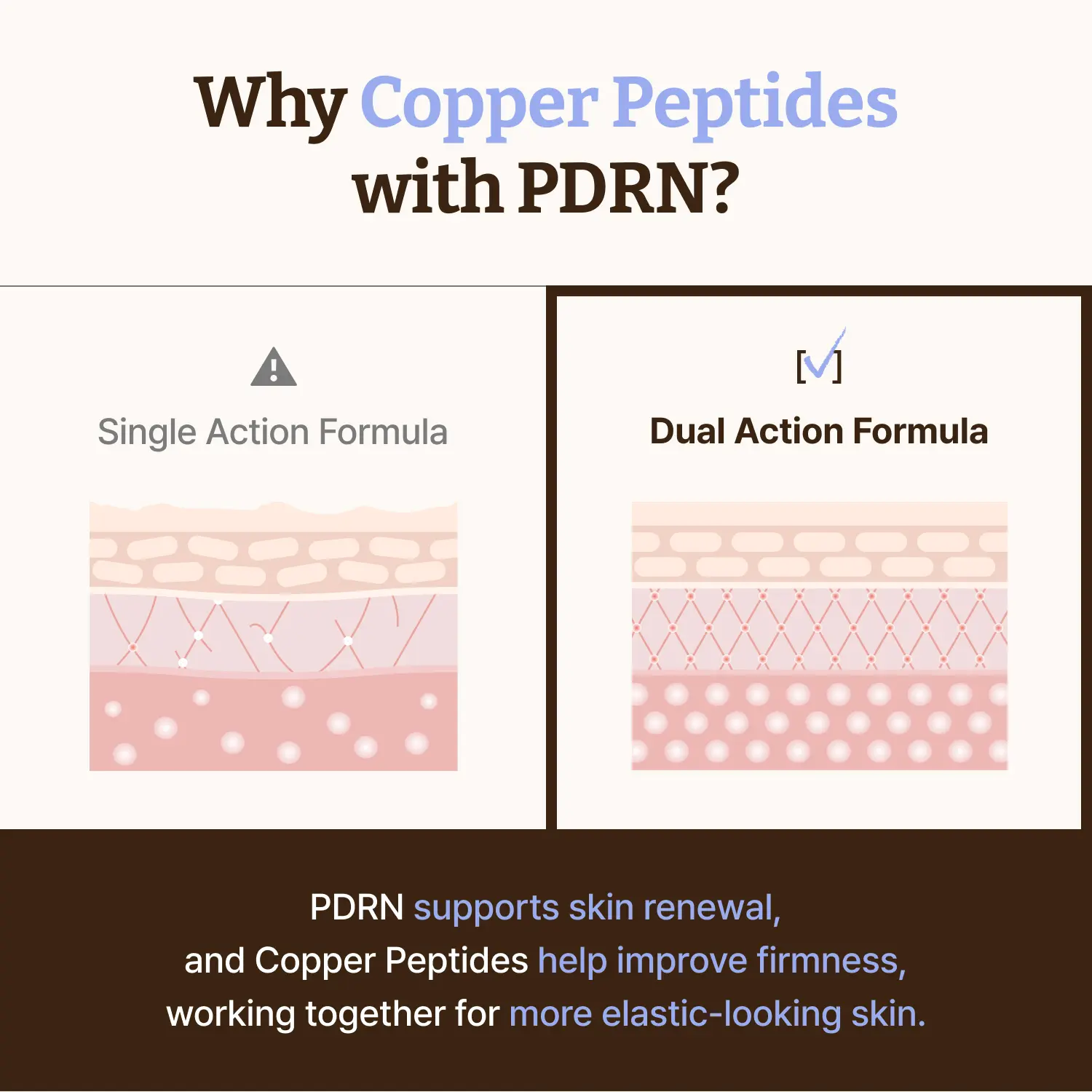 Dr.Reju-All Advanced PDRN Copper Peptide Face Serum